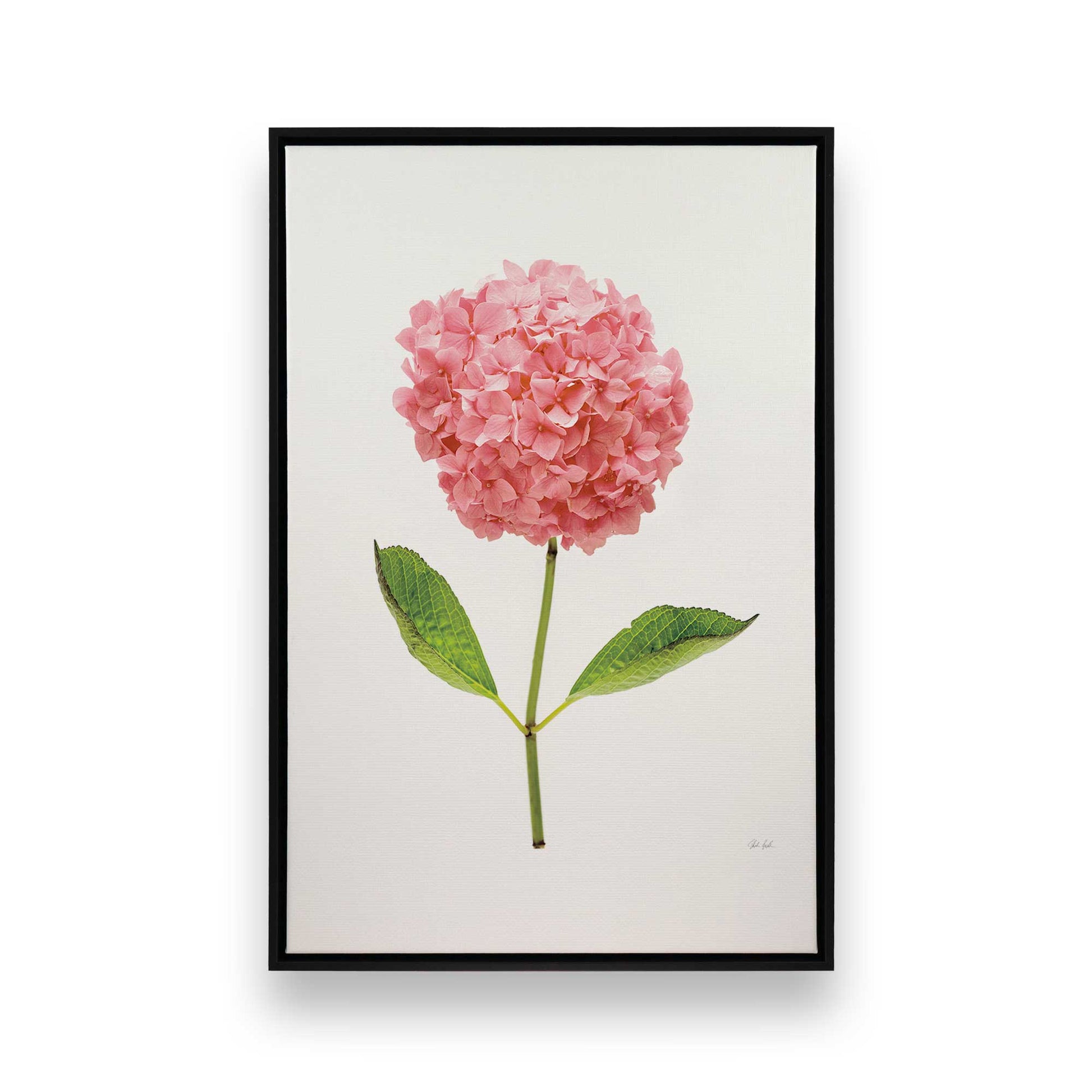 [Color:Satin Black], Picture of art in a Satin Black frame