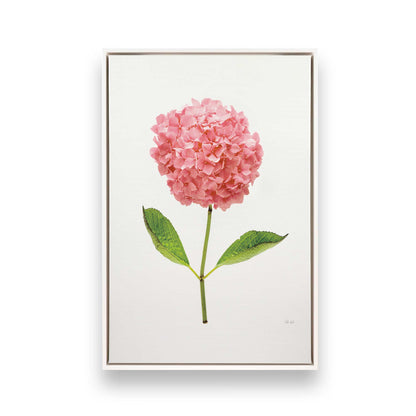 [Color:Opaque White], Picture of art in a White frame
