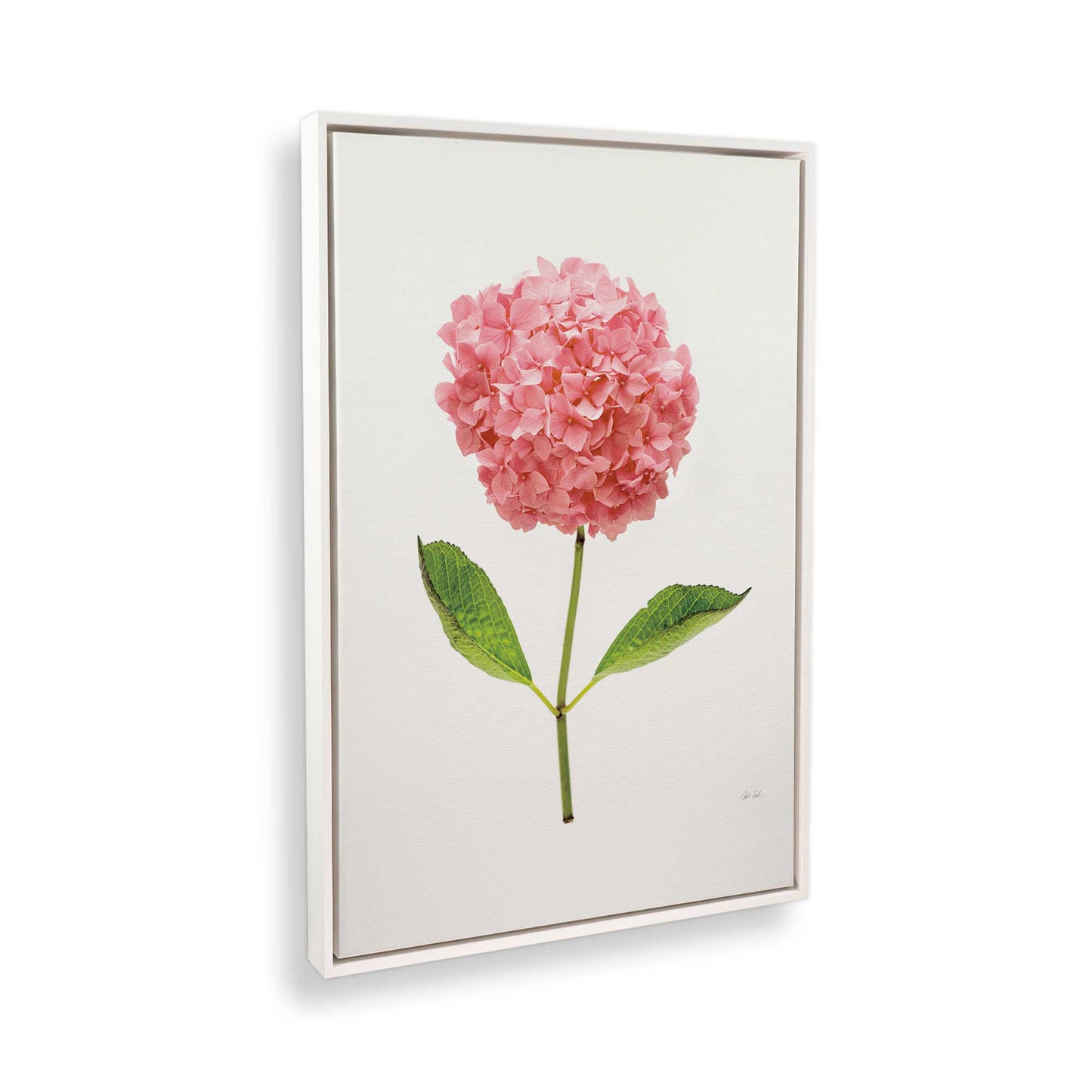 [Color:Opaque White], Picture of the corner of the art