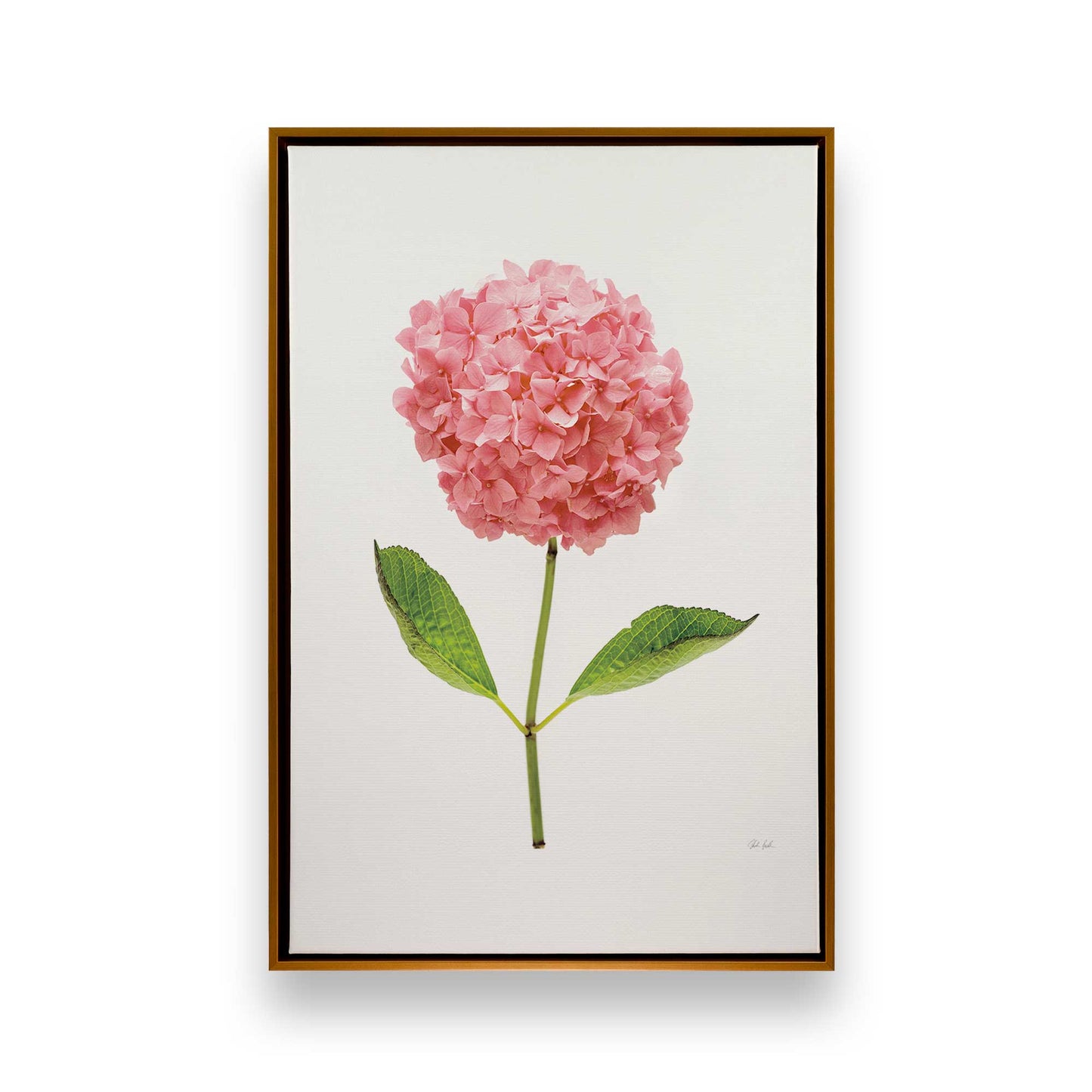 [Color:Polished Gold], Picture of art in a Polished Gold frame
