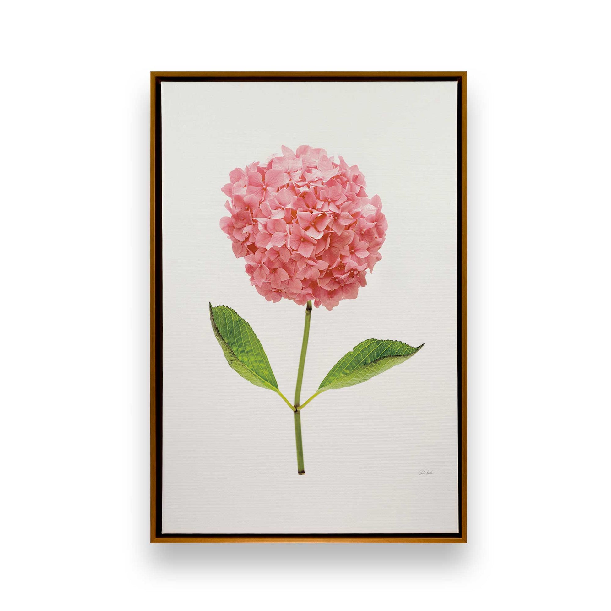 [Color:Polished Gold], Picture of art in a Polished Gold frame