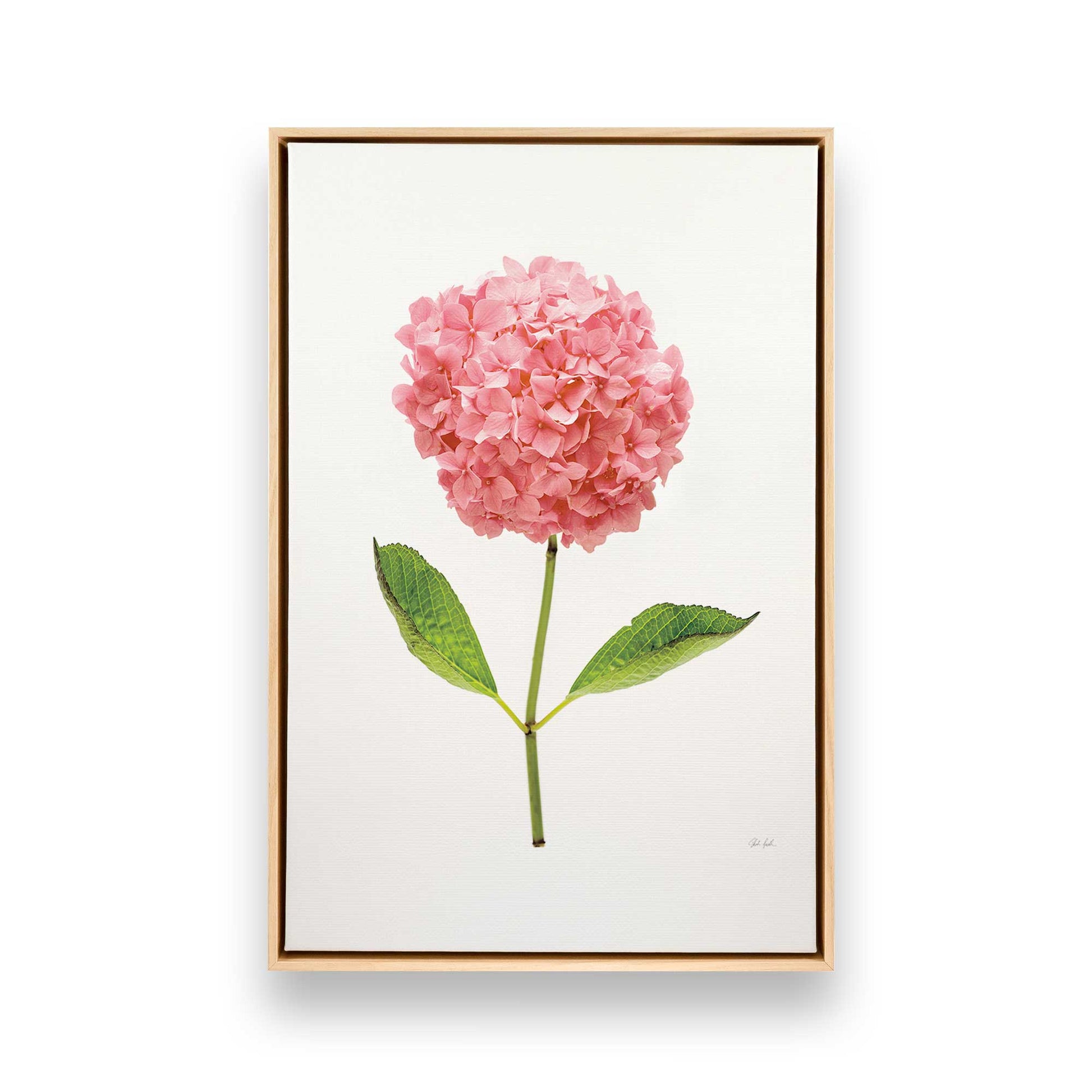 [Color:American Maple], Picture of art in a American Maple frame