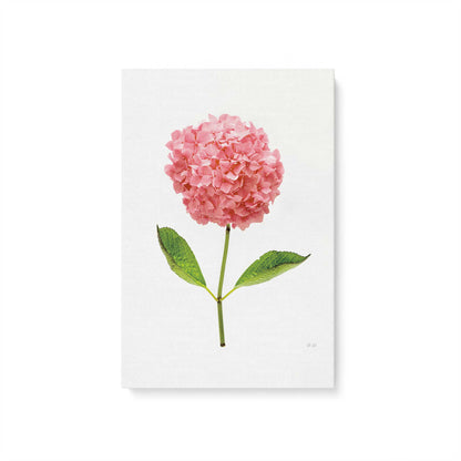 [Color:Stretched Canvas], Picture of art
