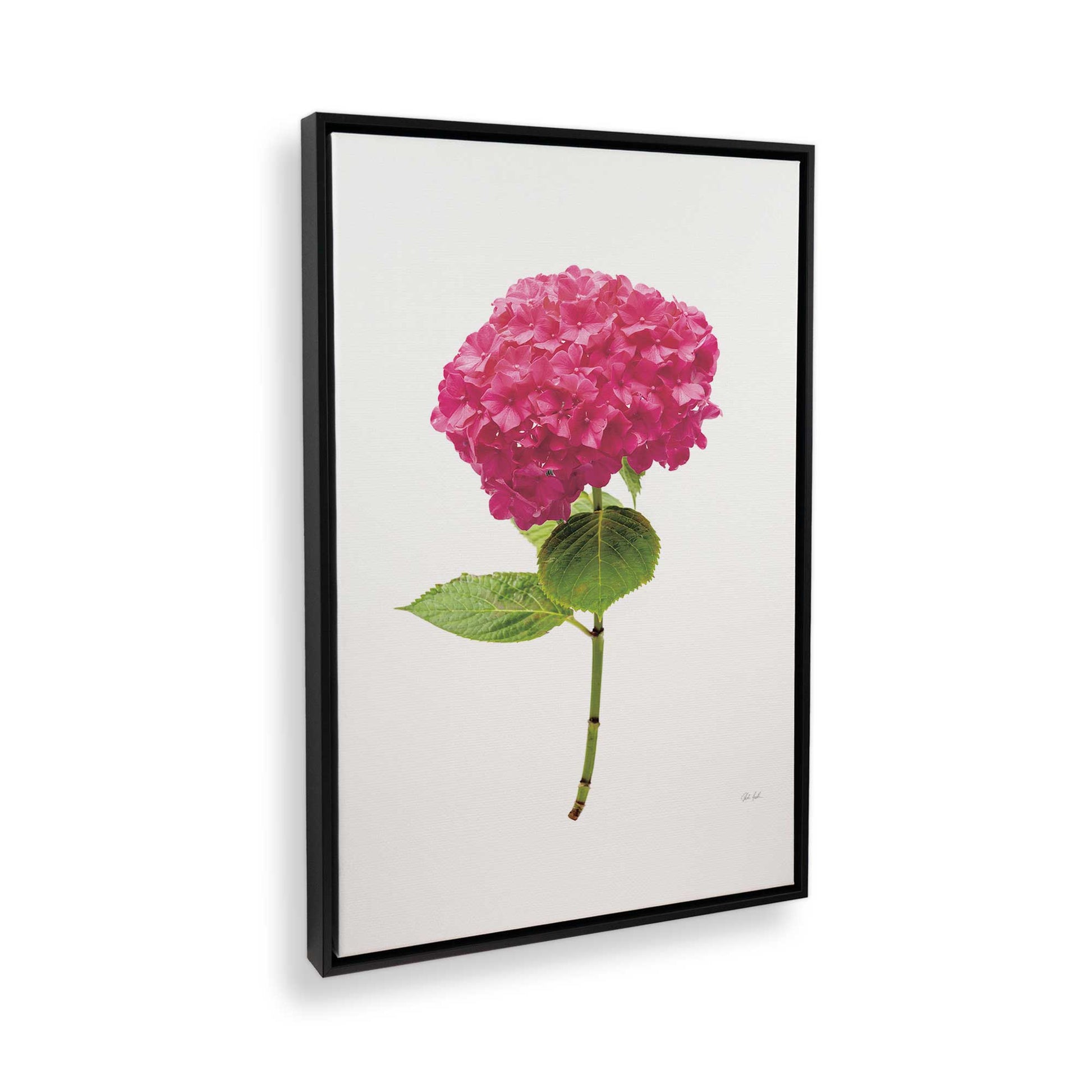 [Color:Satin Black], Picture of the corner of the art