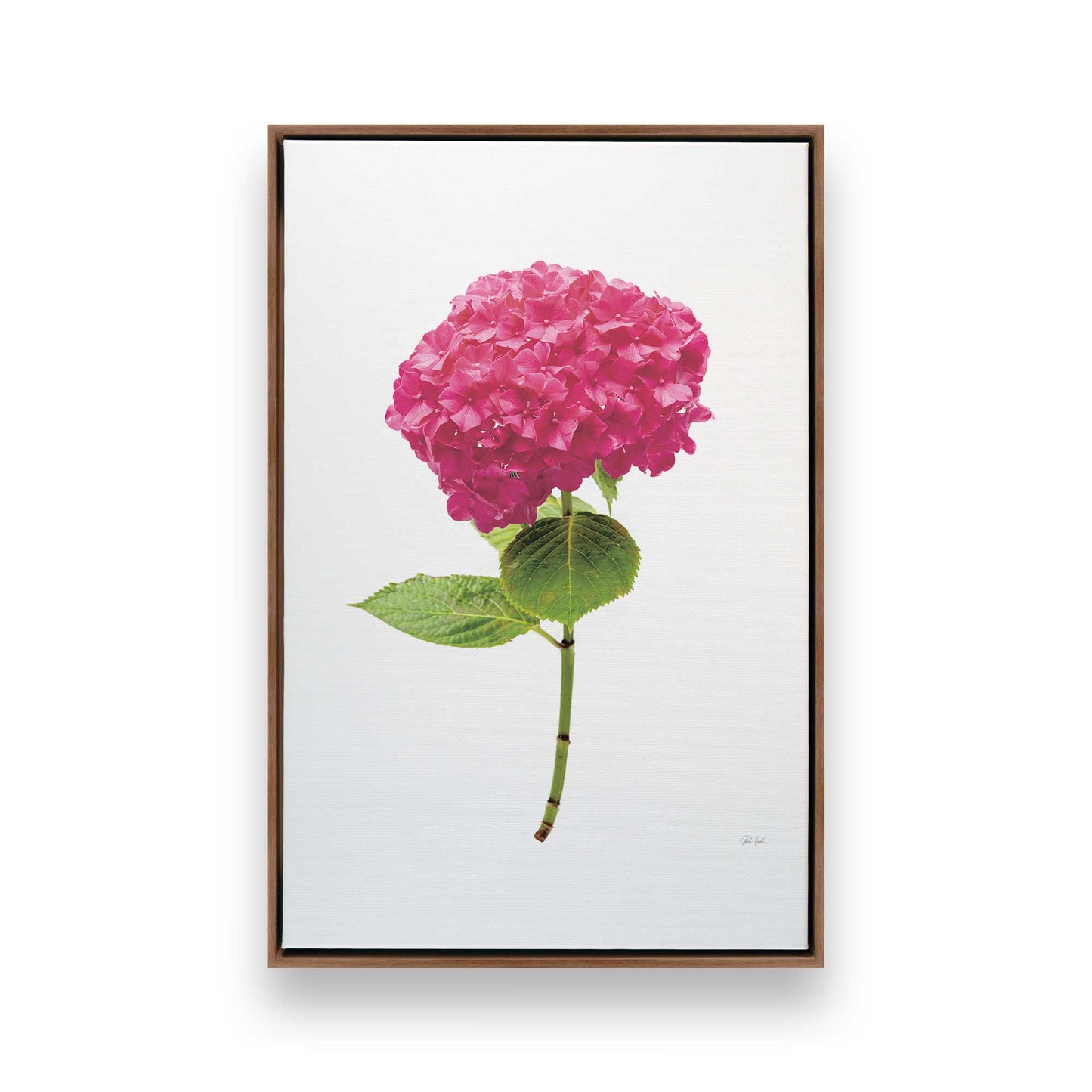 [Color:Walnut], Picture of art in a Walnut frame