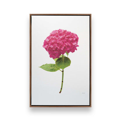 [Color:Walnut], Picture of art in a Walnut frame
