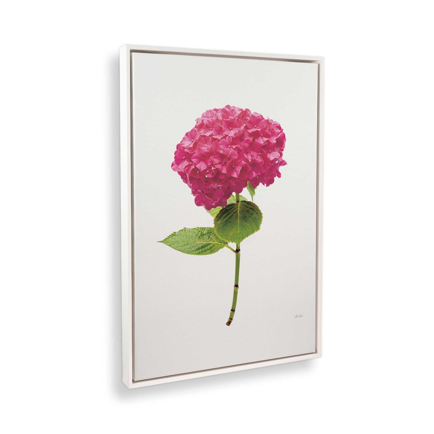 [Color:Opaque White], Picture of the corner of the art
