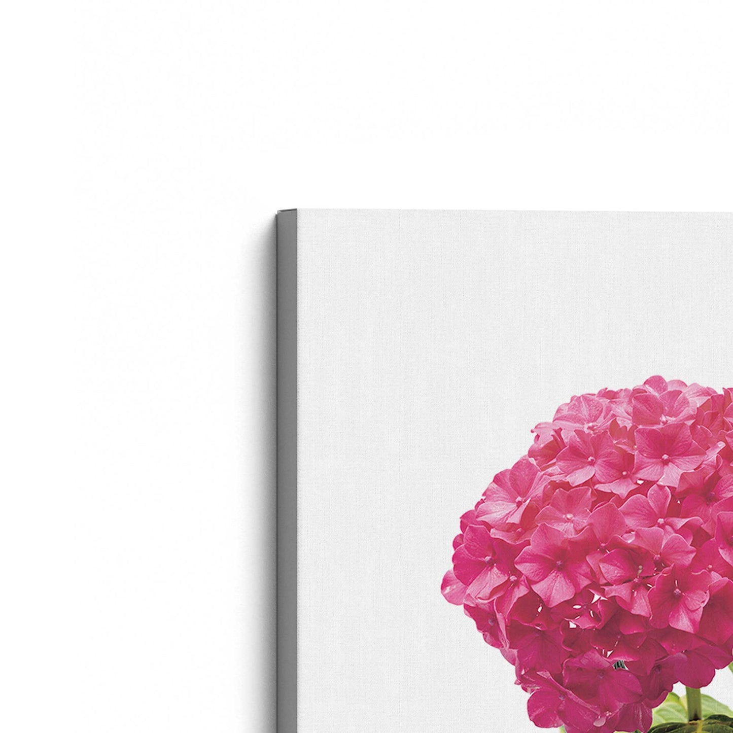 [Color:Stretched Canvas], Picture of the corner of the art