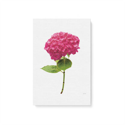 [Color:Stretched Canvas], Picture of art