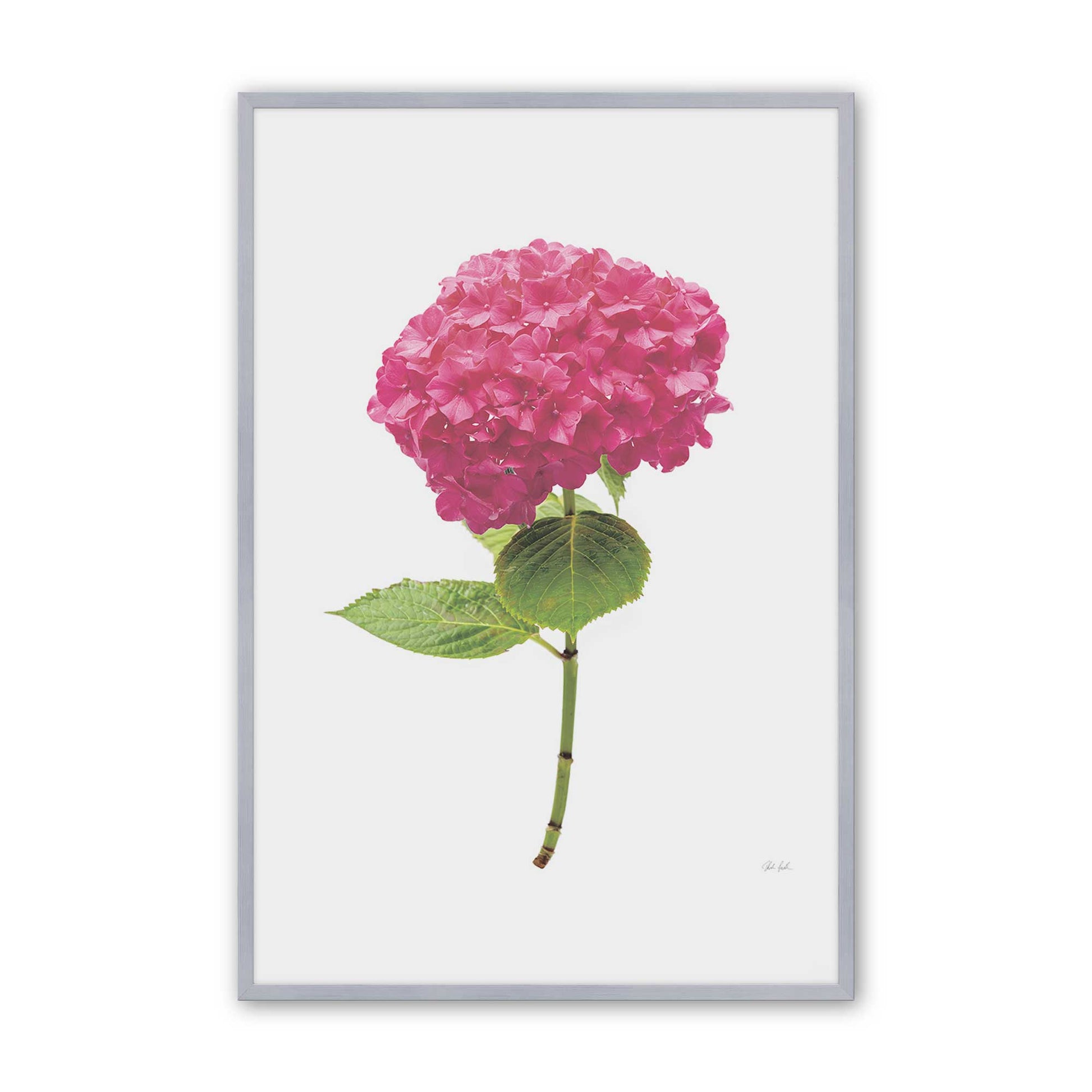 [Color:Polished Chrome], Picture of art in a Polished Chrome frame