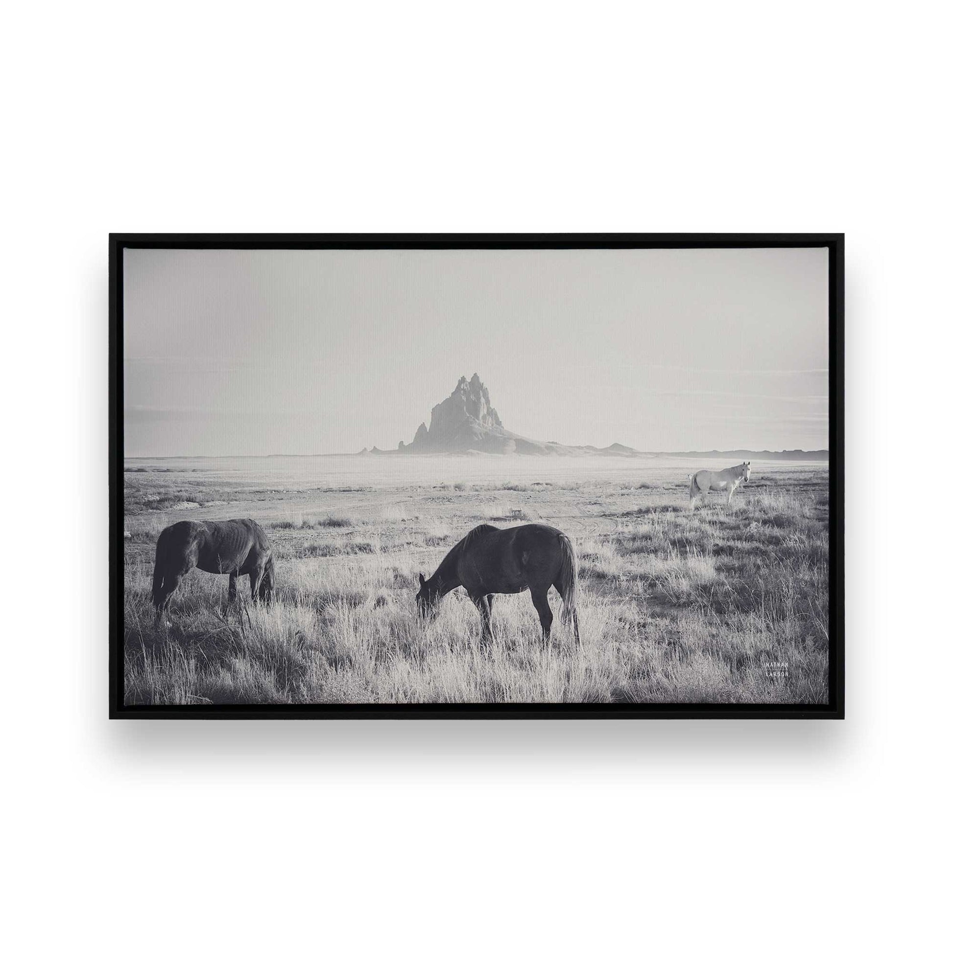 [Color:Satin Black], Picture of art in a Satin Black frame