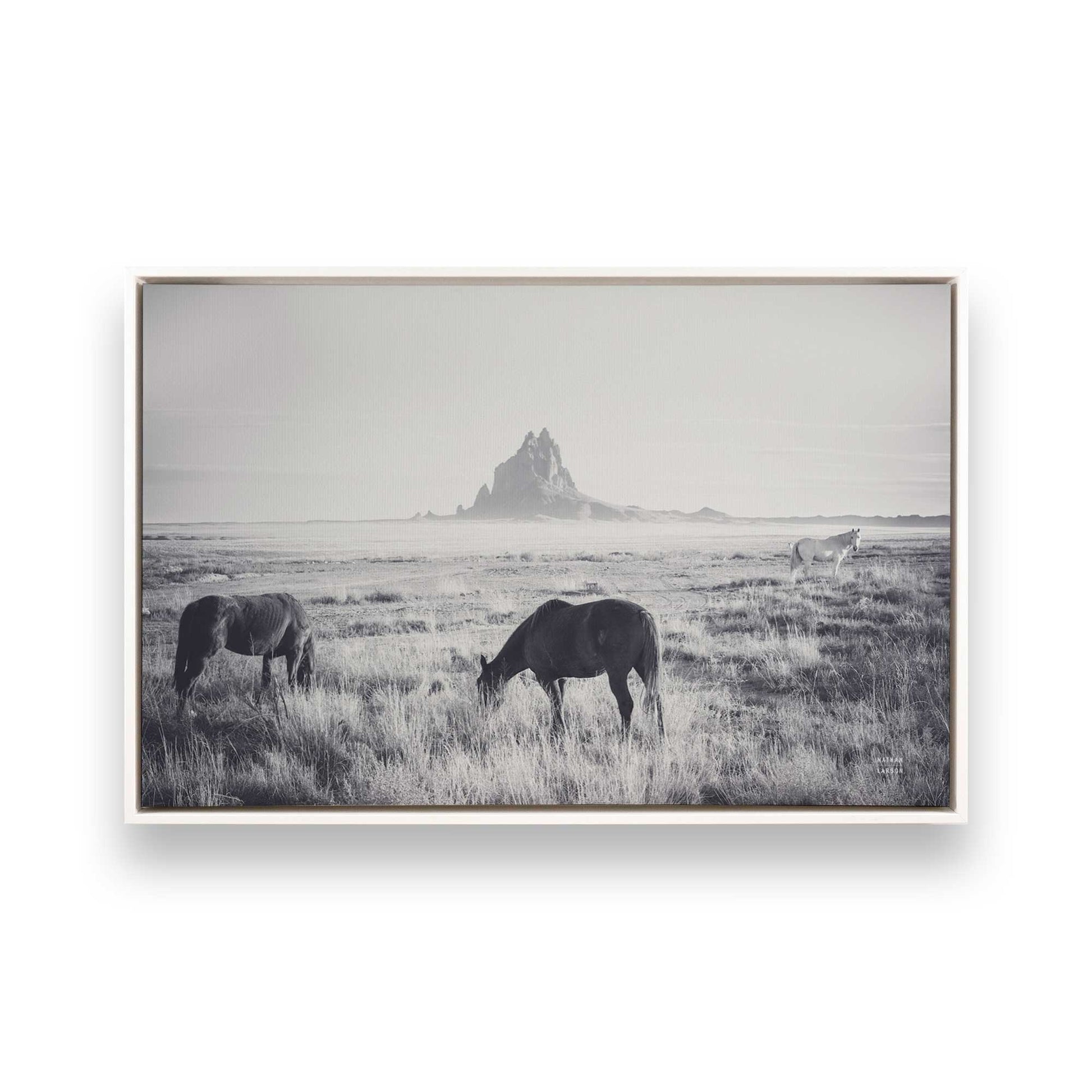[Color:Opaque White], Picture of art in a White frame