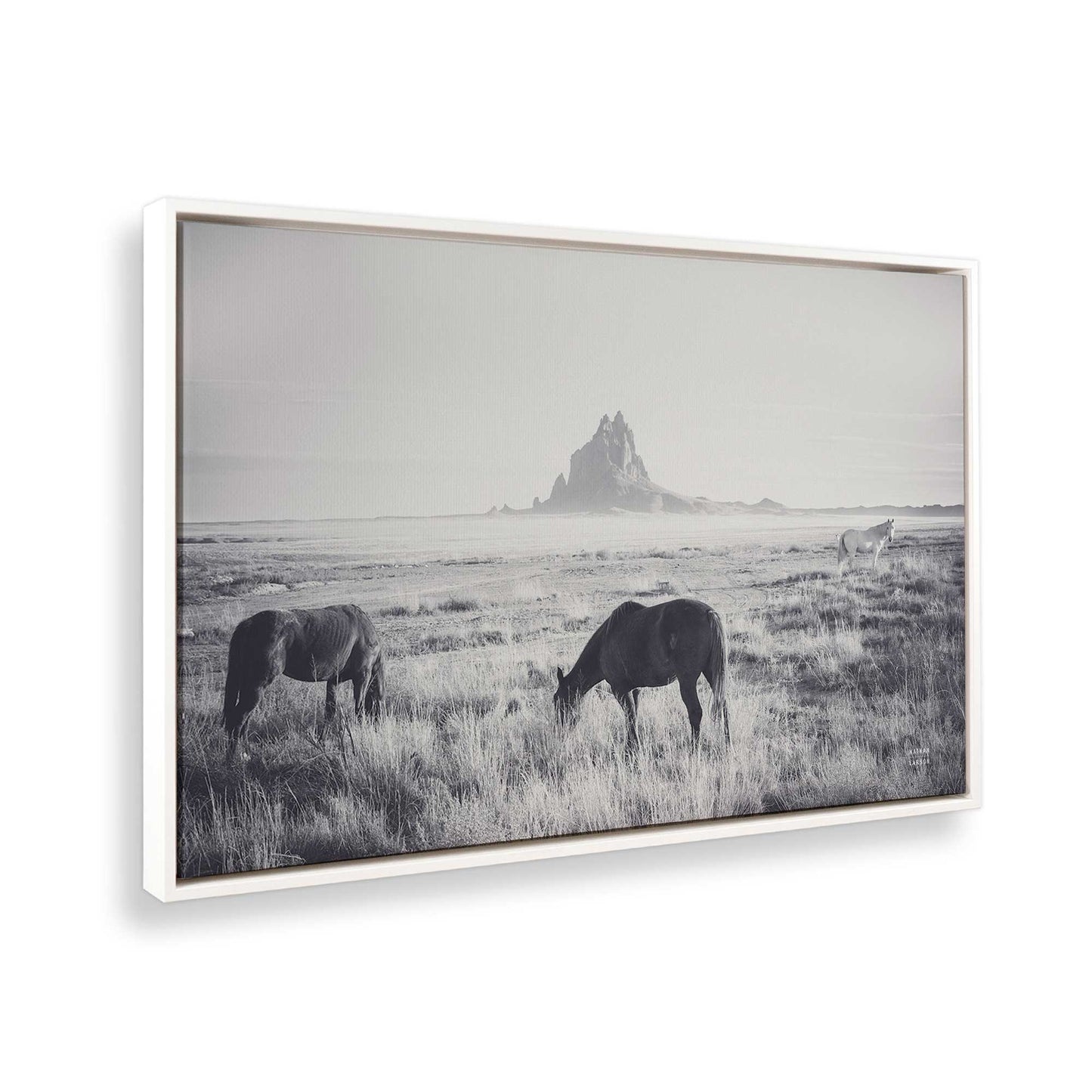 [Color:Opaque White], Picture of the corner of the art