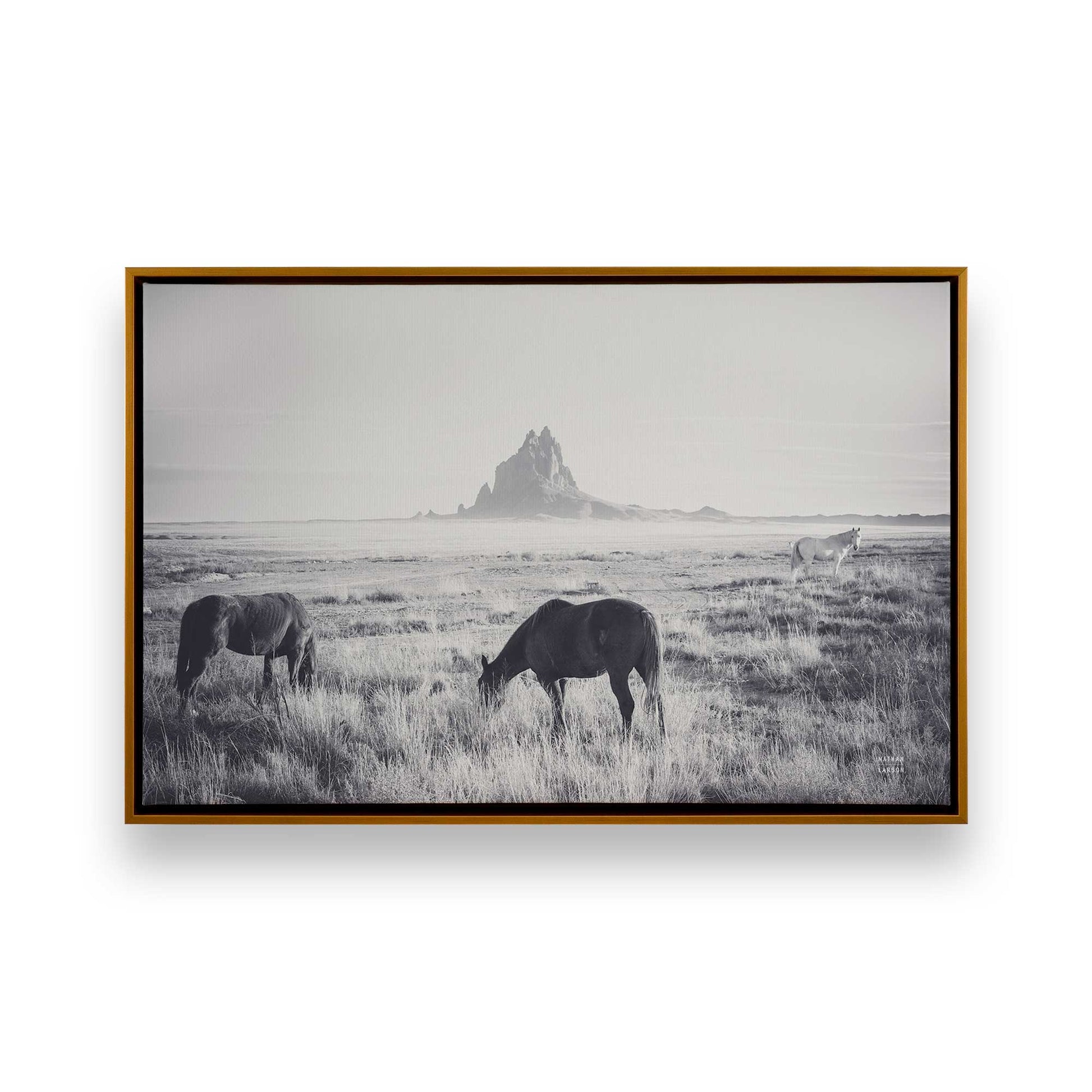 [Color:Polished Gold], Picture of art in a Polished Gold frame