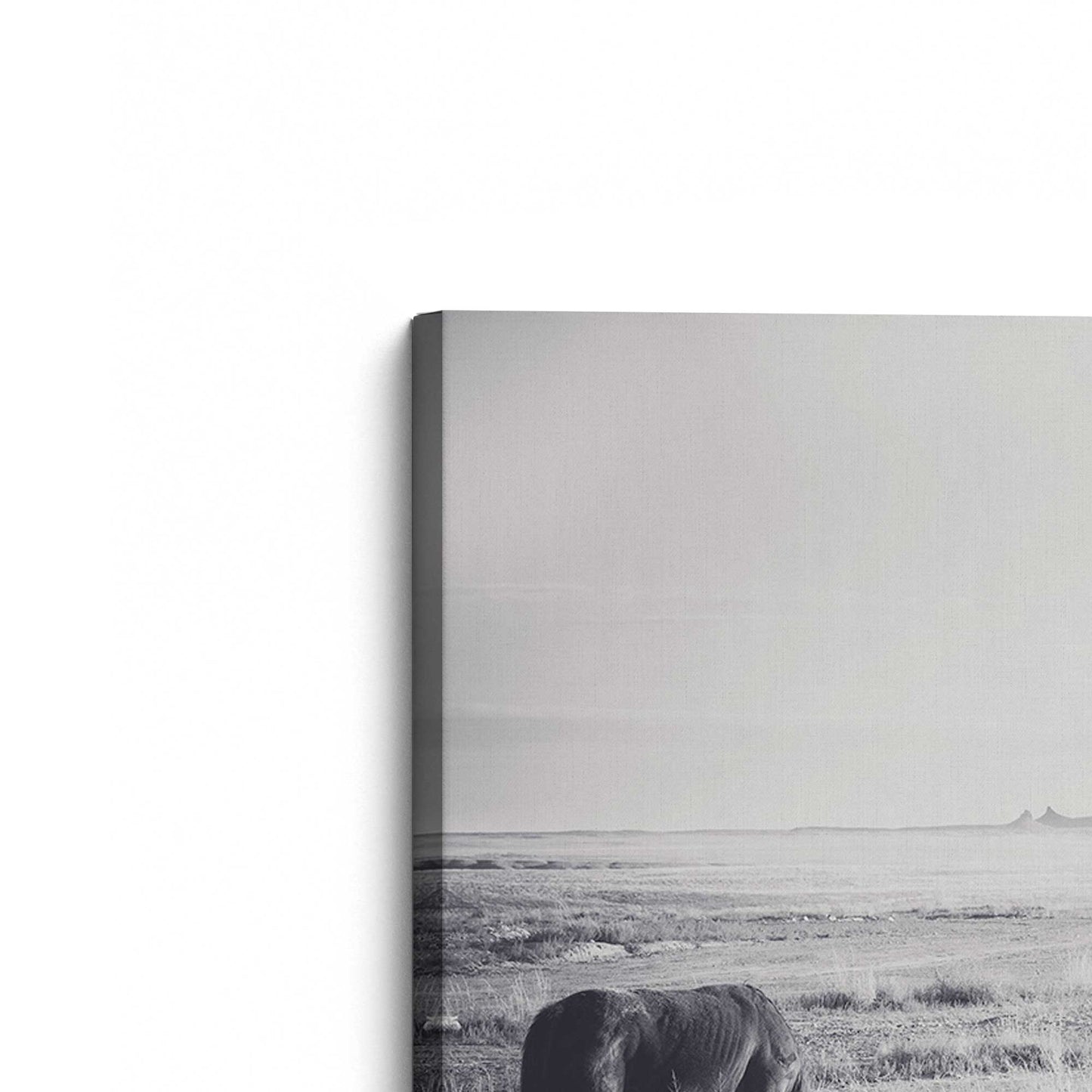 [Color:Stretched Canvas], Picture of the corner of the art