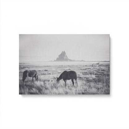 [Color:Stretched Canvas], Picture of art