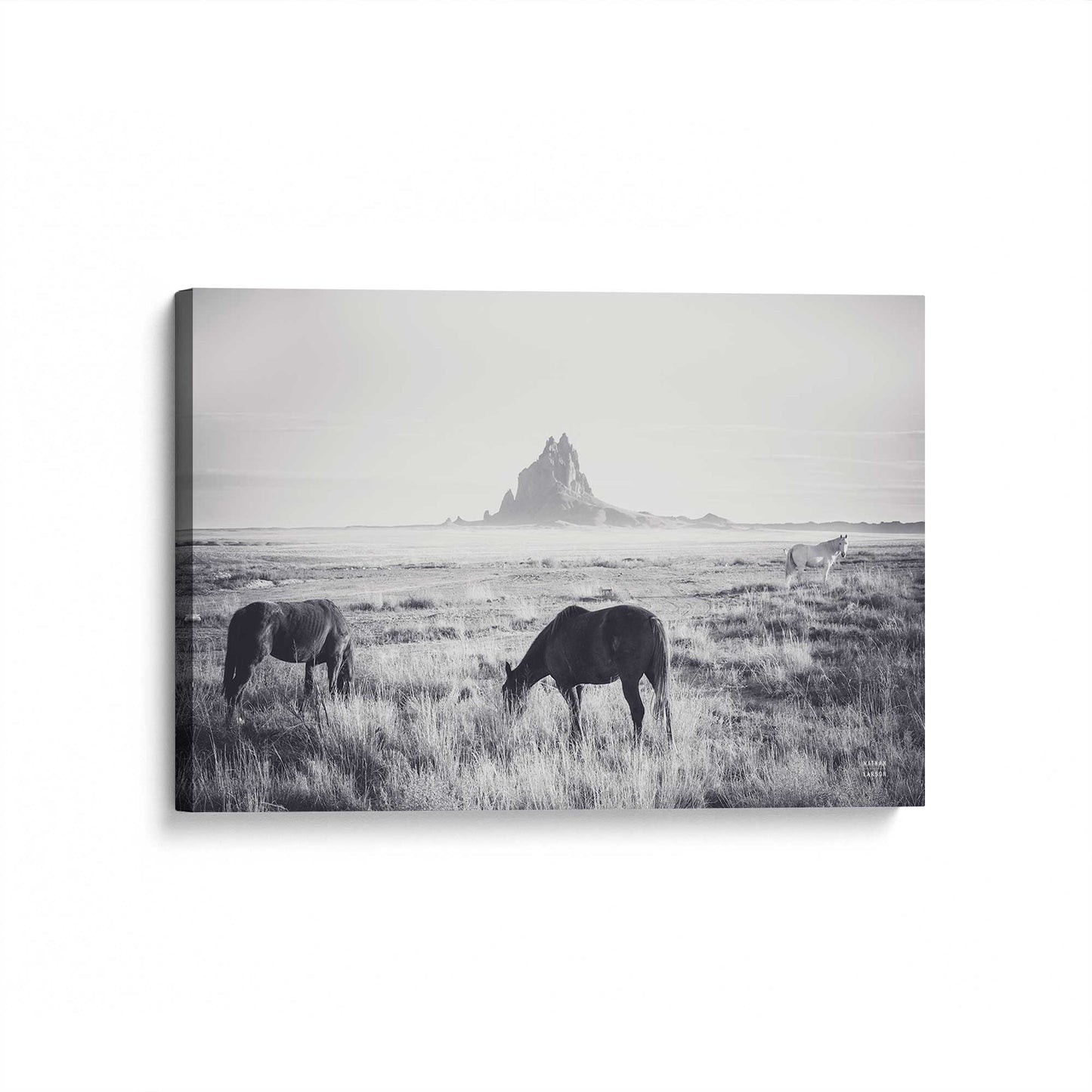 [Color:Stretched Canvas], Picture of art at an angle
