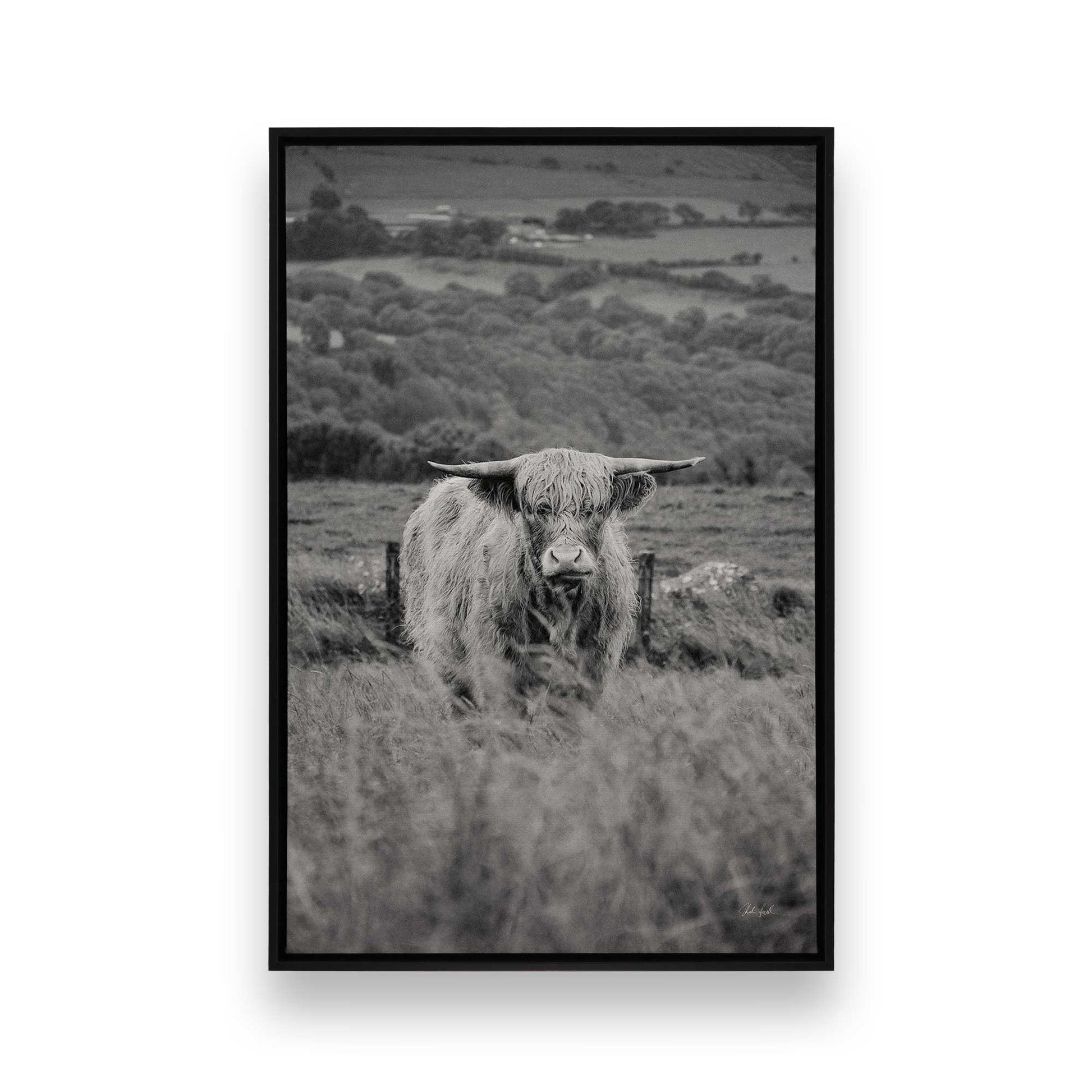 [Color:Satin Black], Picture of art in a Satin Black frame