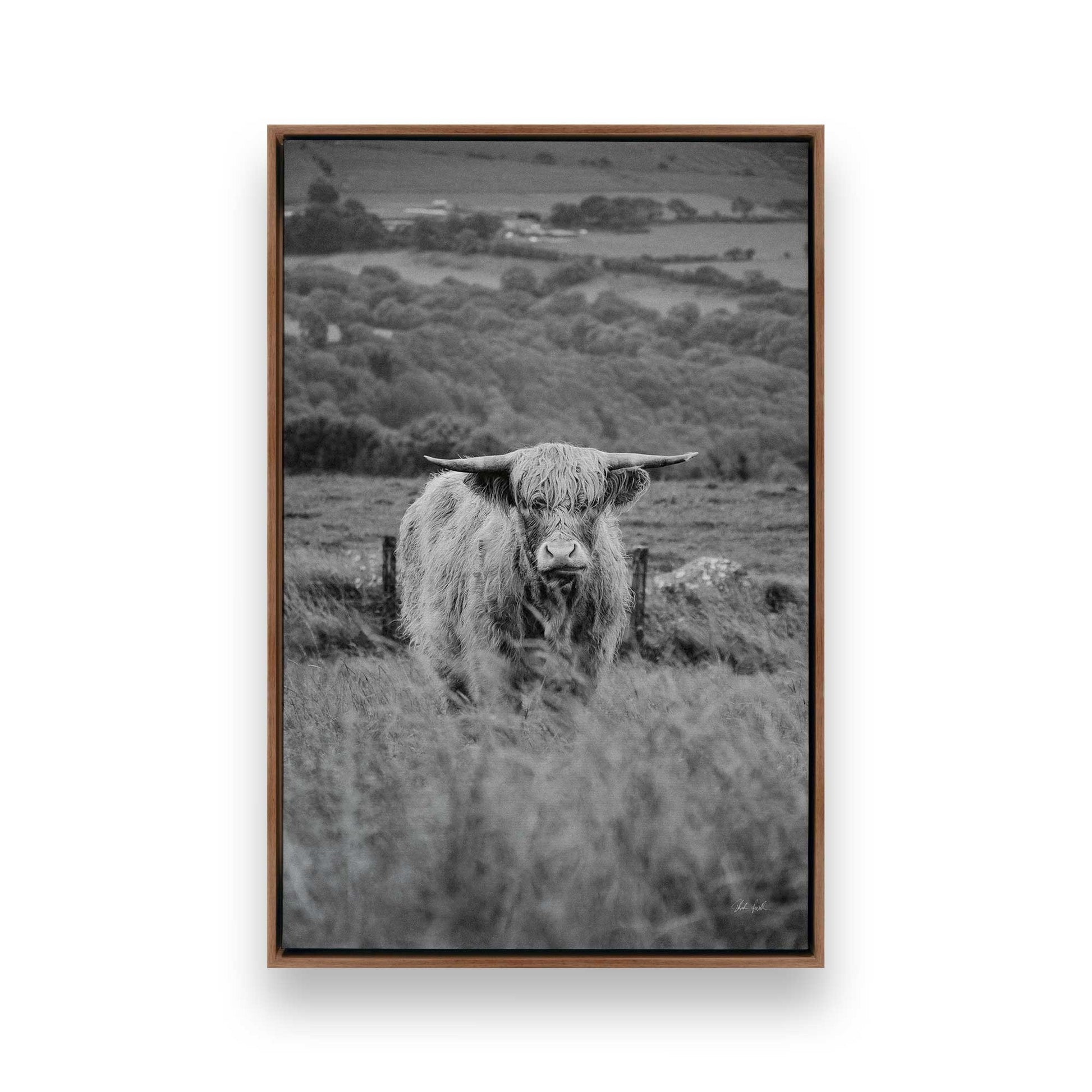 [Color:Walnut], Picture of art in a Walnut frame