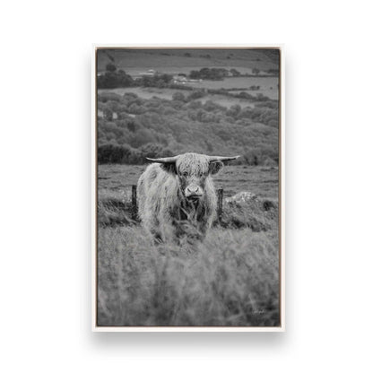 [Color:Opaque White], Picture of art in a White frame