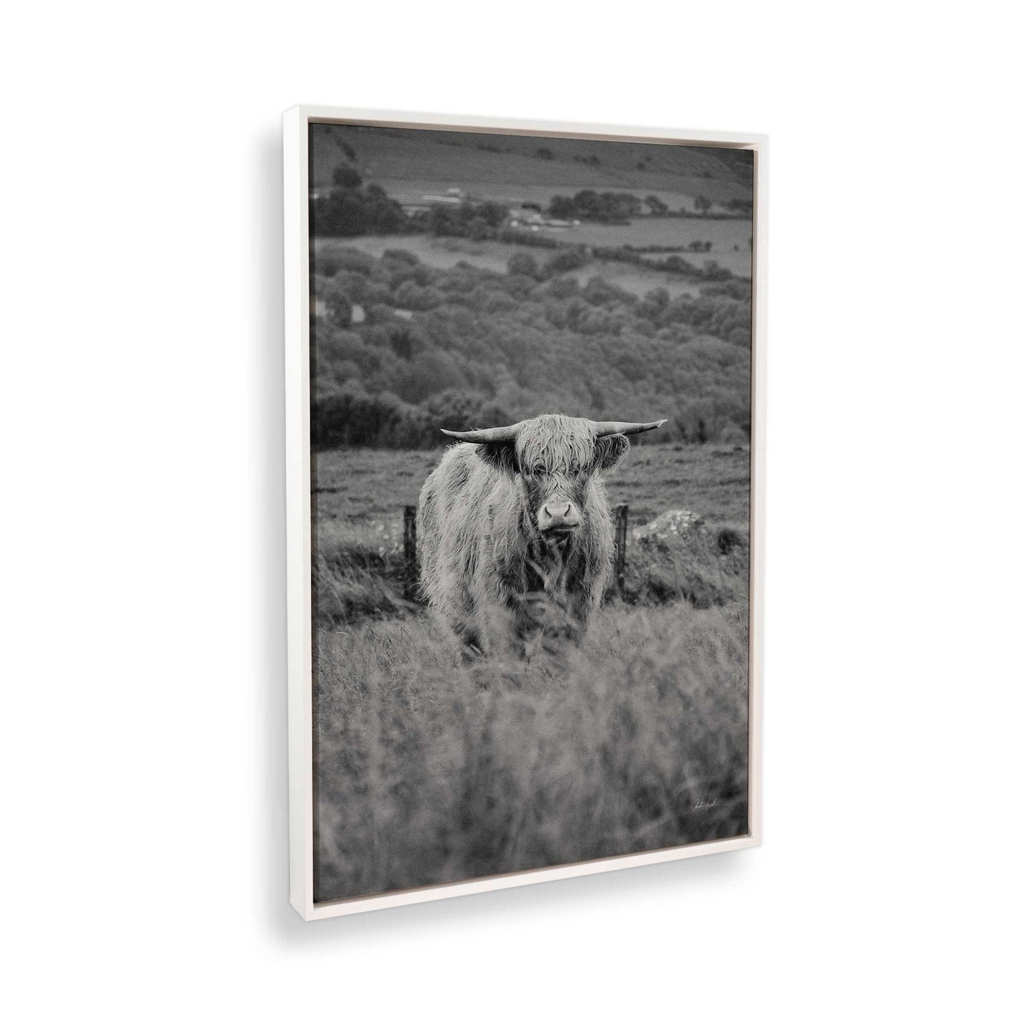 [Color:Opaque White], Picture of the corner of the art
