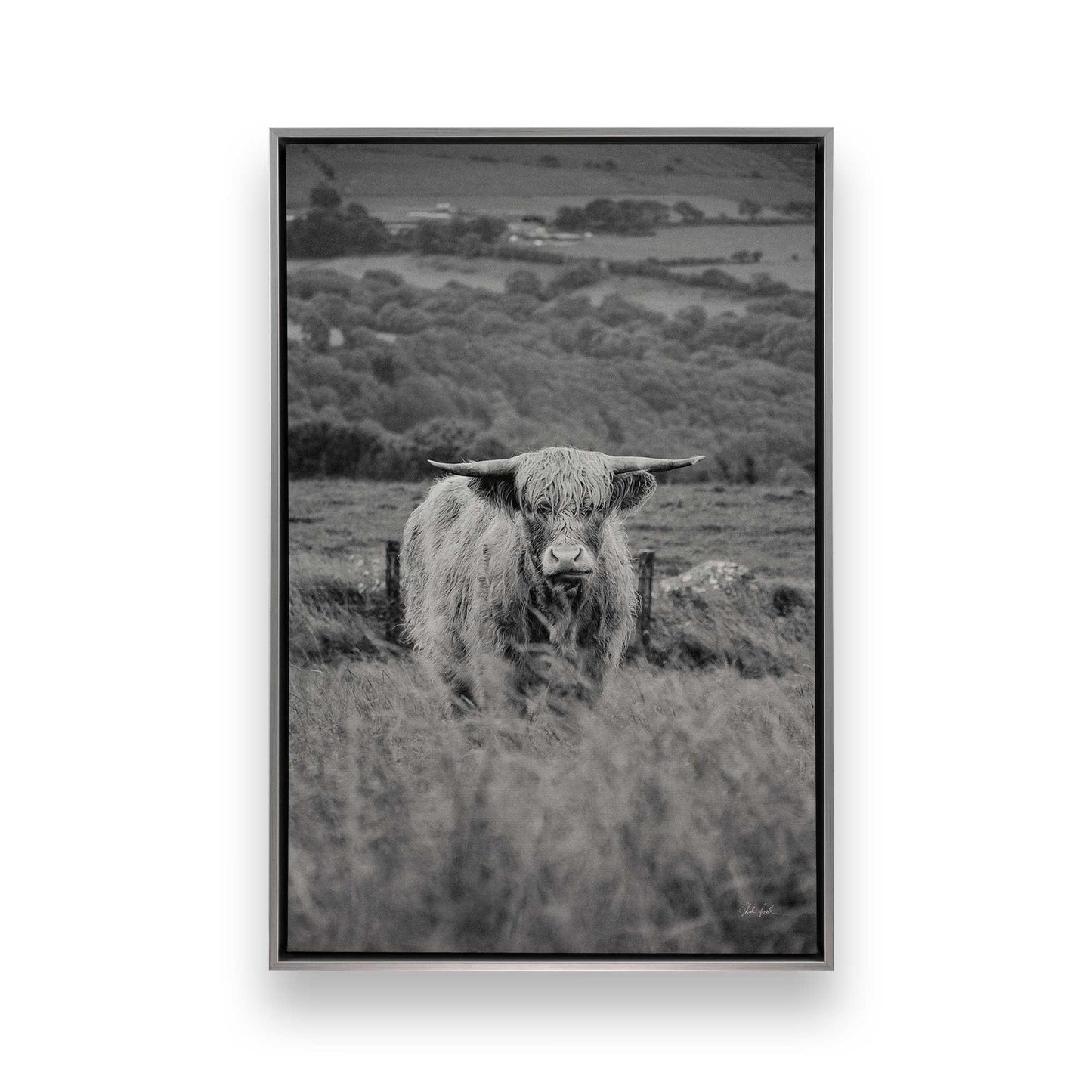 [Color:Polished Chrome], Picture of art in a Polished Chrome frame