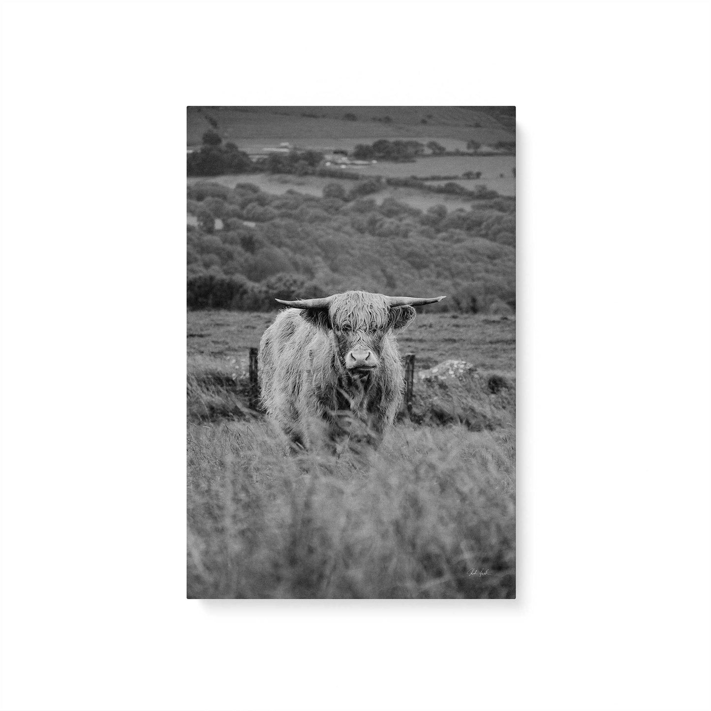 [Color:Stretched Canvas], Picture of art