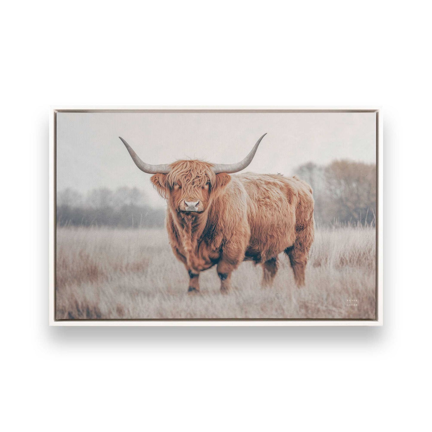 [Color:Opaque White], Picture of art in a White frame