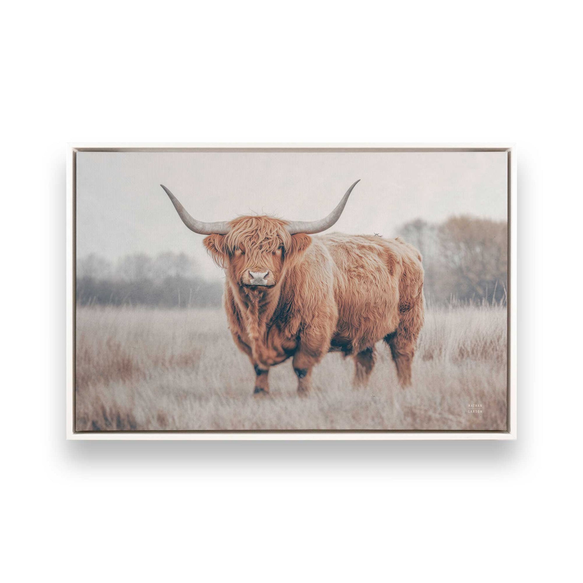 [Color:Opaque White], Picture of art in a White frame