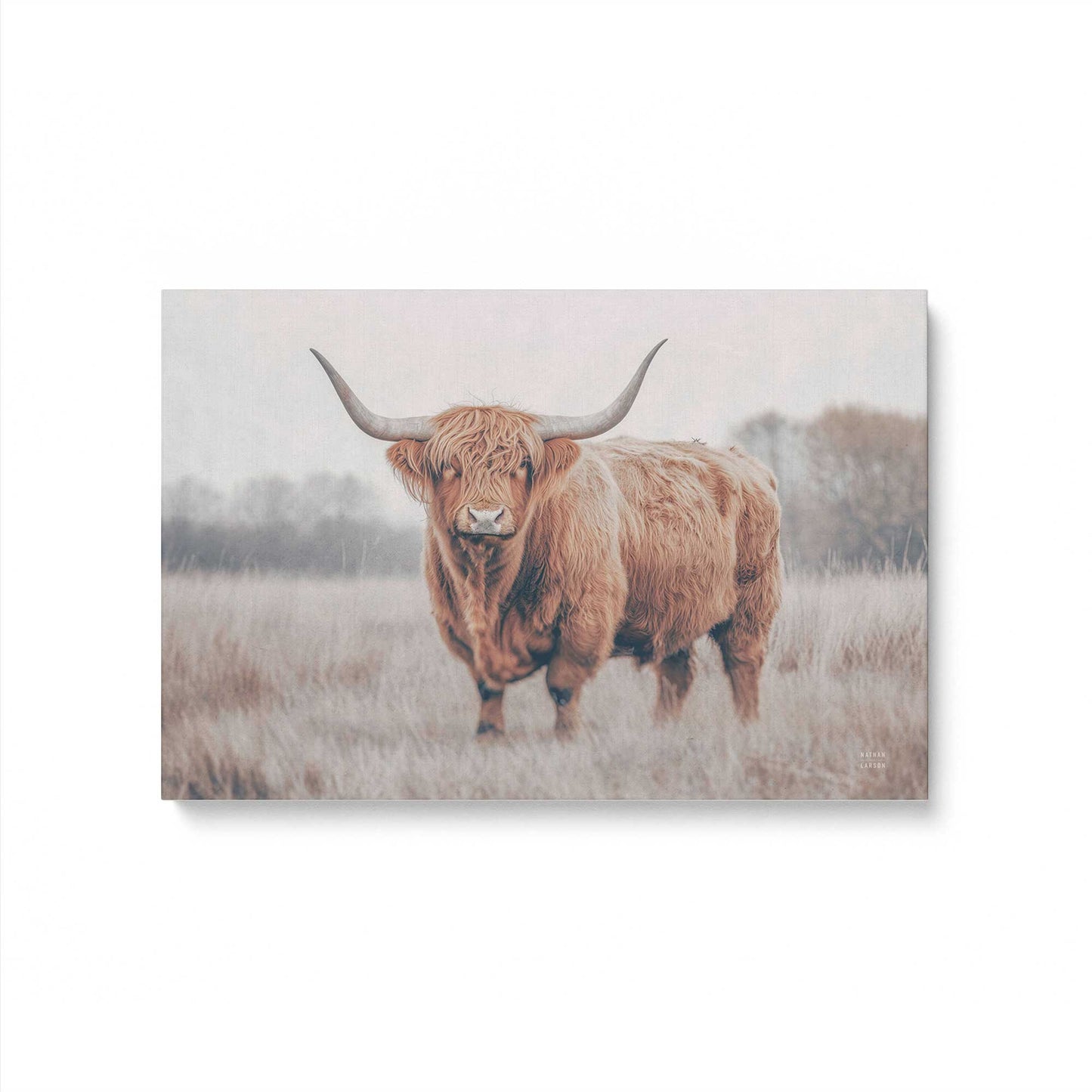 [Color:Stretched Canvas], Picture of art
