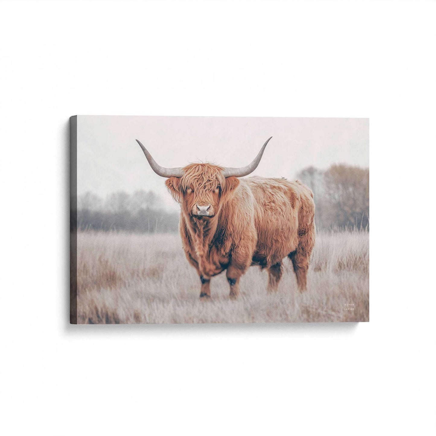 [Color:Stretched Canvas], Picture of art at an angle