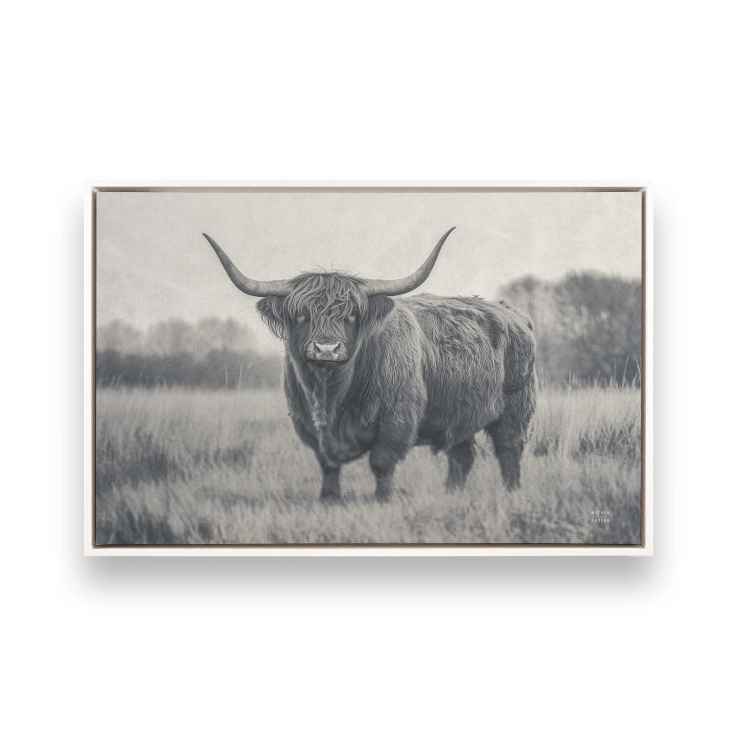 [Color:Opaque White], Picture of art in a White frame