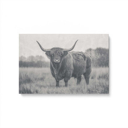 [Color:Stretched Canvas], Picture of art