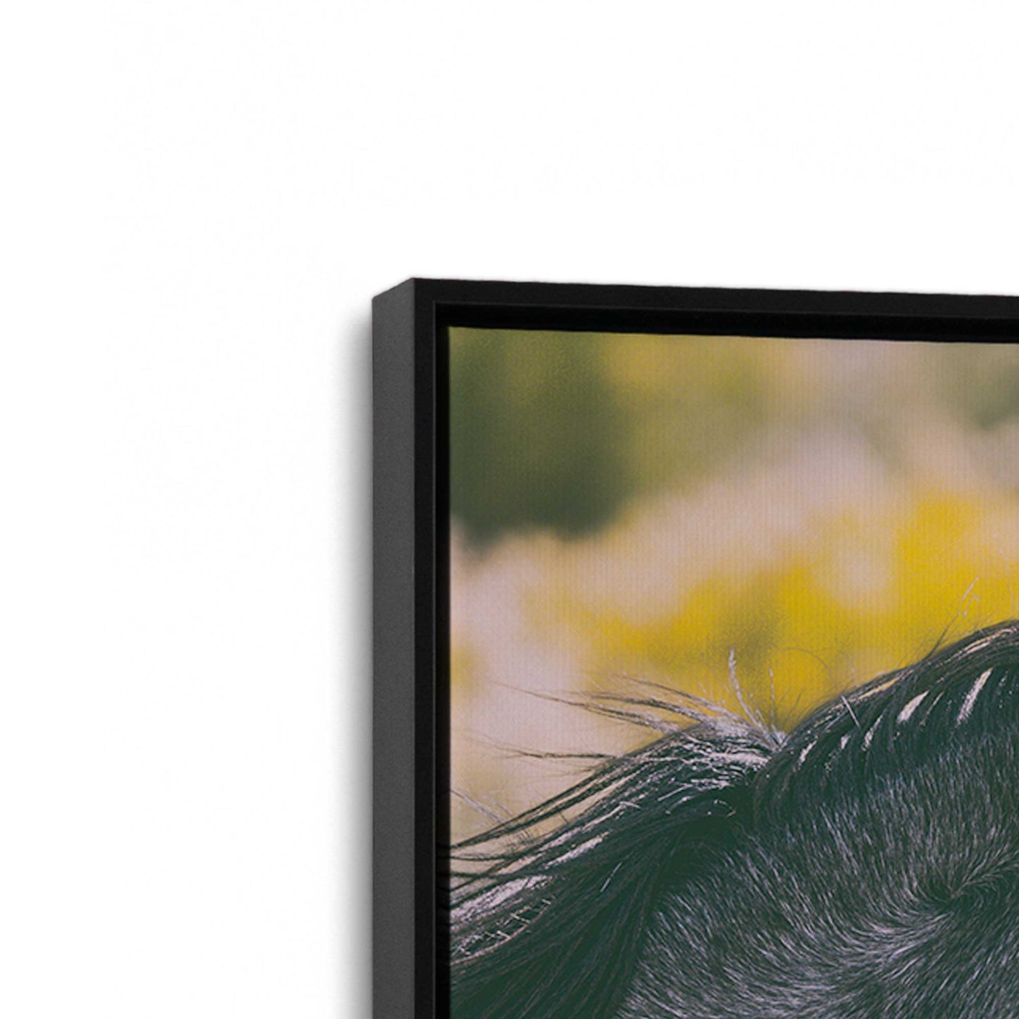 [Color:Satin Black], Picture of art in a Satin Black frame at an angle