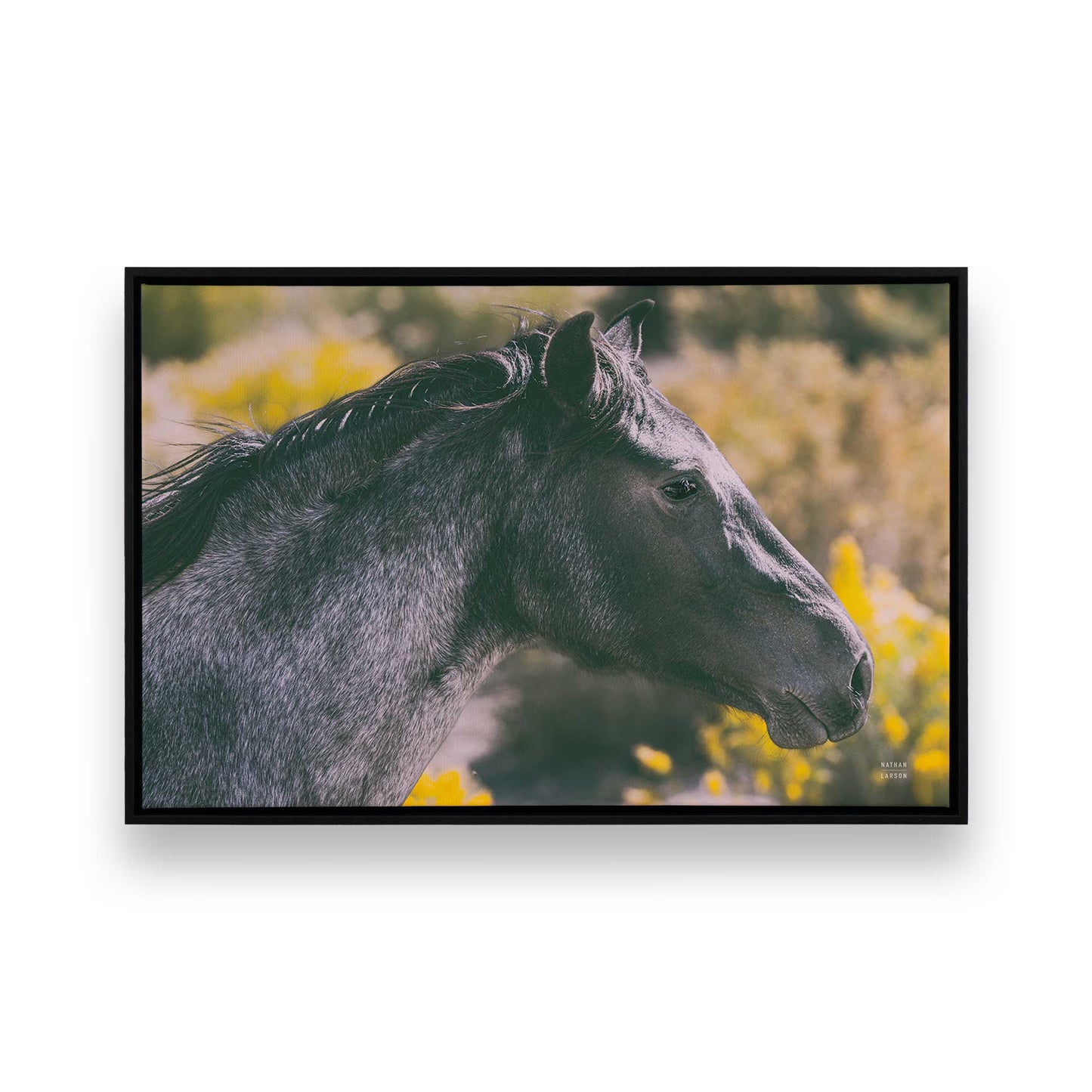 [Color:Satin Black], Front of the art