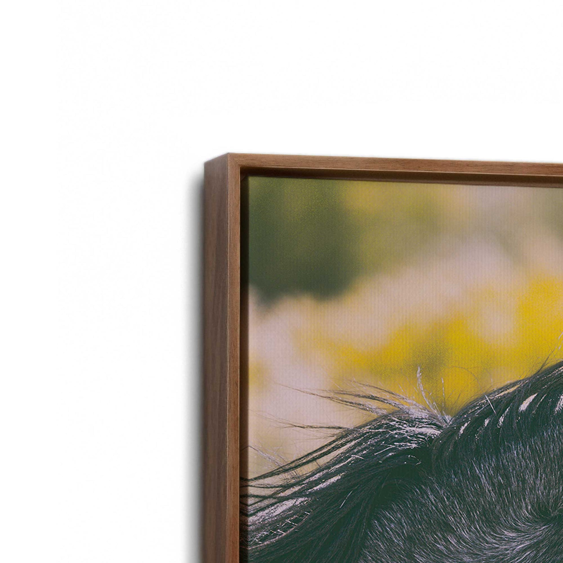 [Color:Walnut], Picture of art in a Walnut frame at an angle