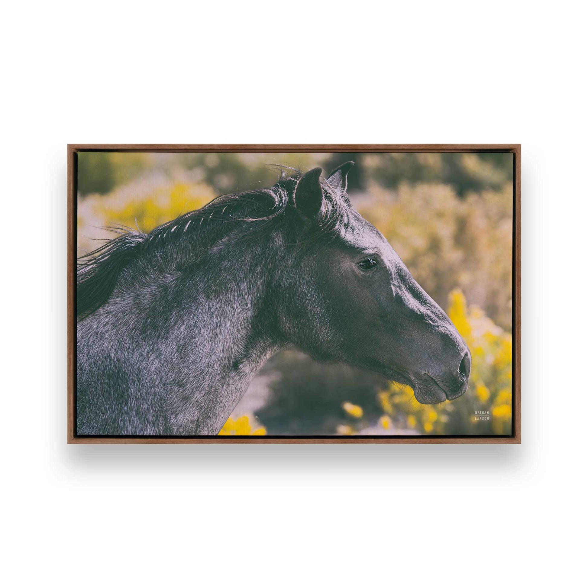 [Color:Walnut], Picture of art in a Walnut frame