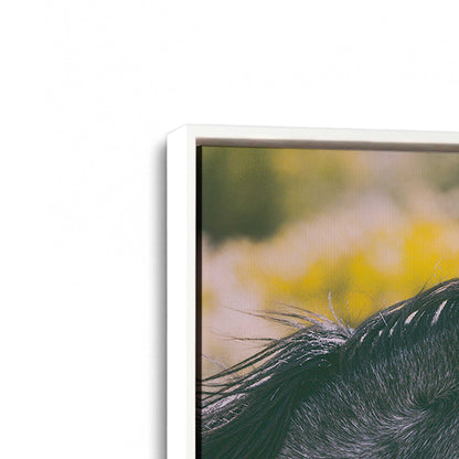 [Color:Opaque White], Picture of art in a White frame at an angle