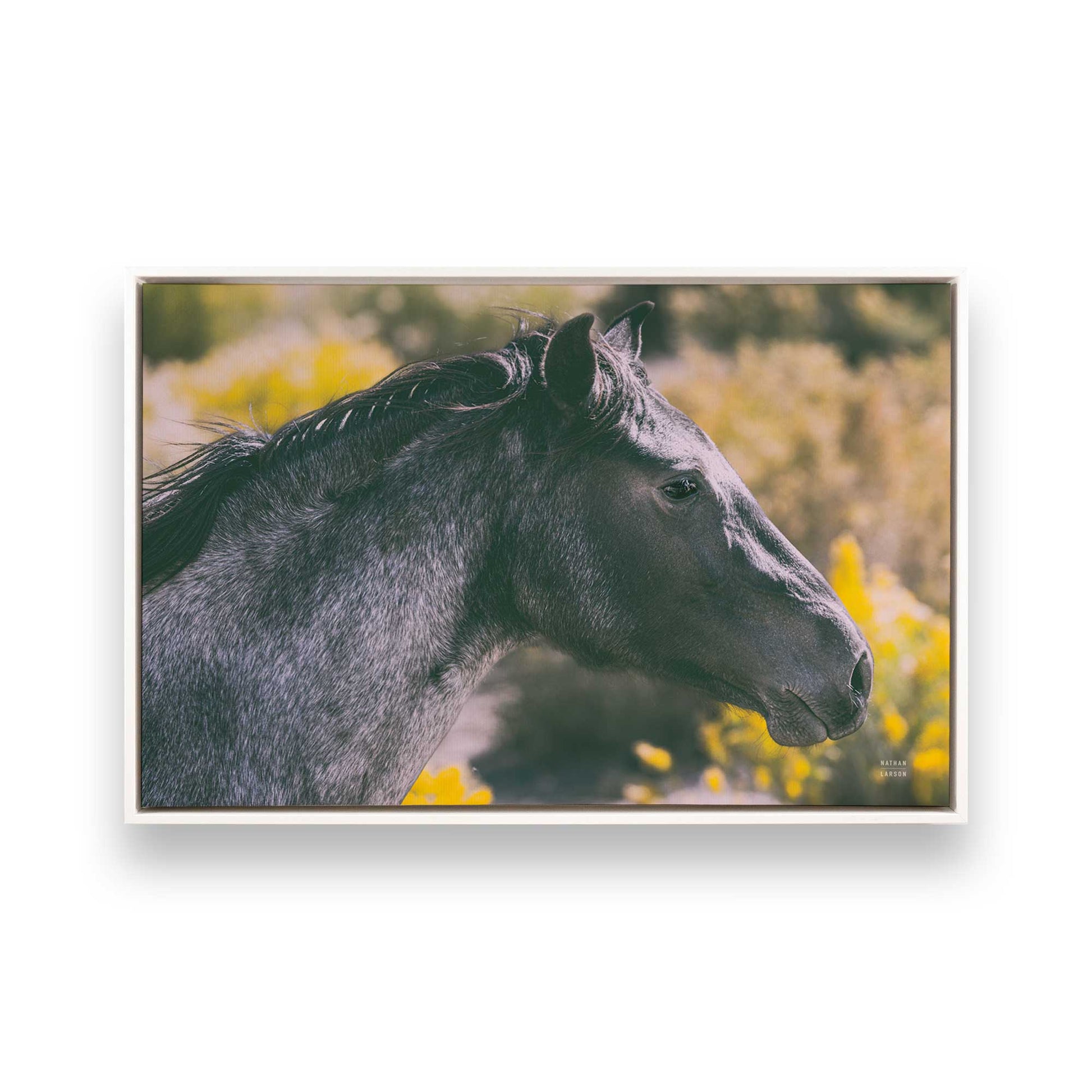 [Color:Opaque White], Picture of art in a White frame
