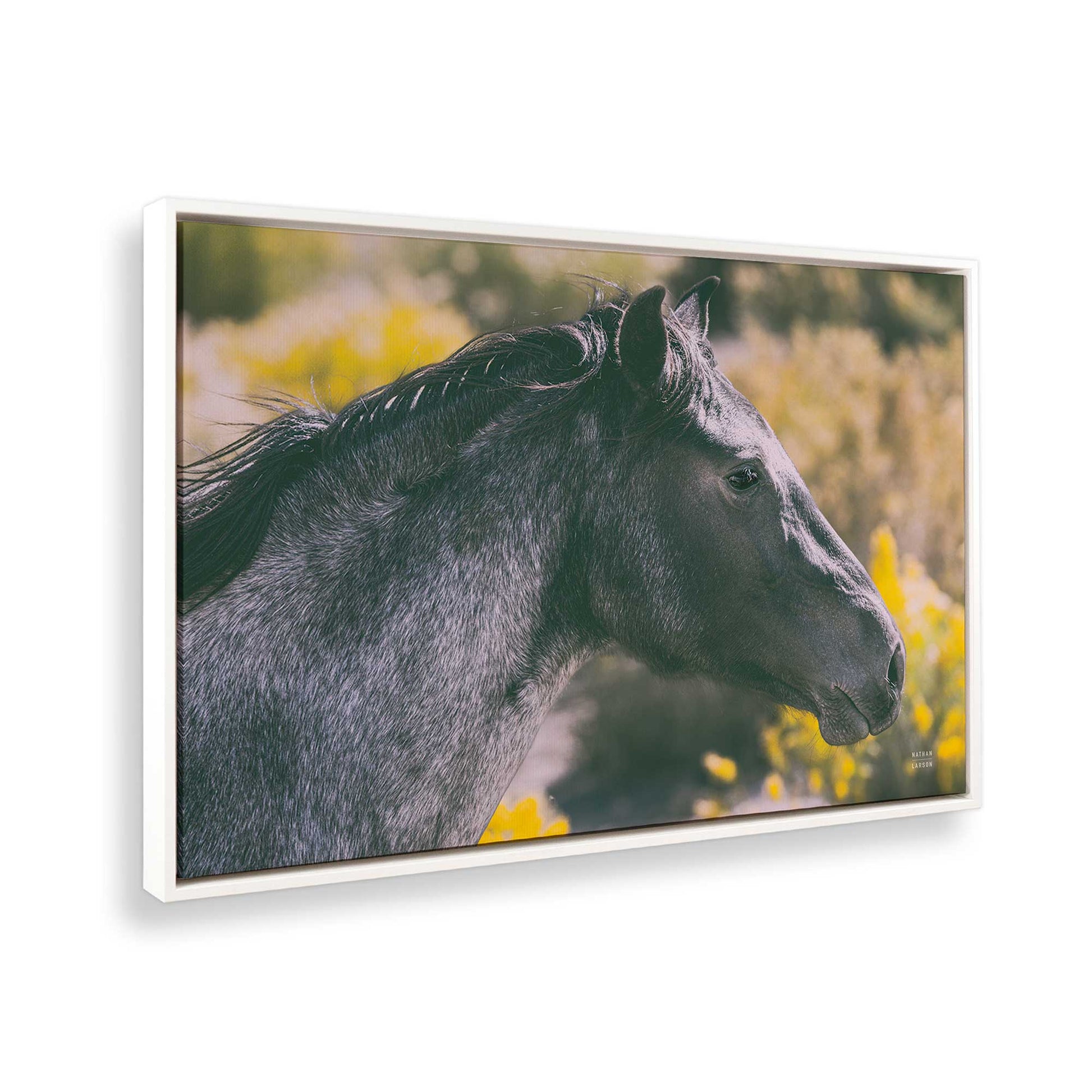 [Color:Opaque White], Picture of the corner of the art