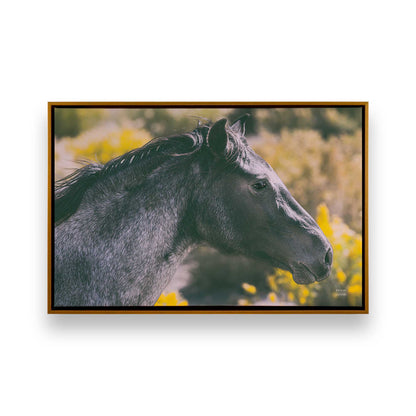 [Color:Polished Gold], Picture of art in a Polished Gold frame