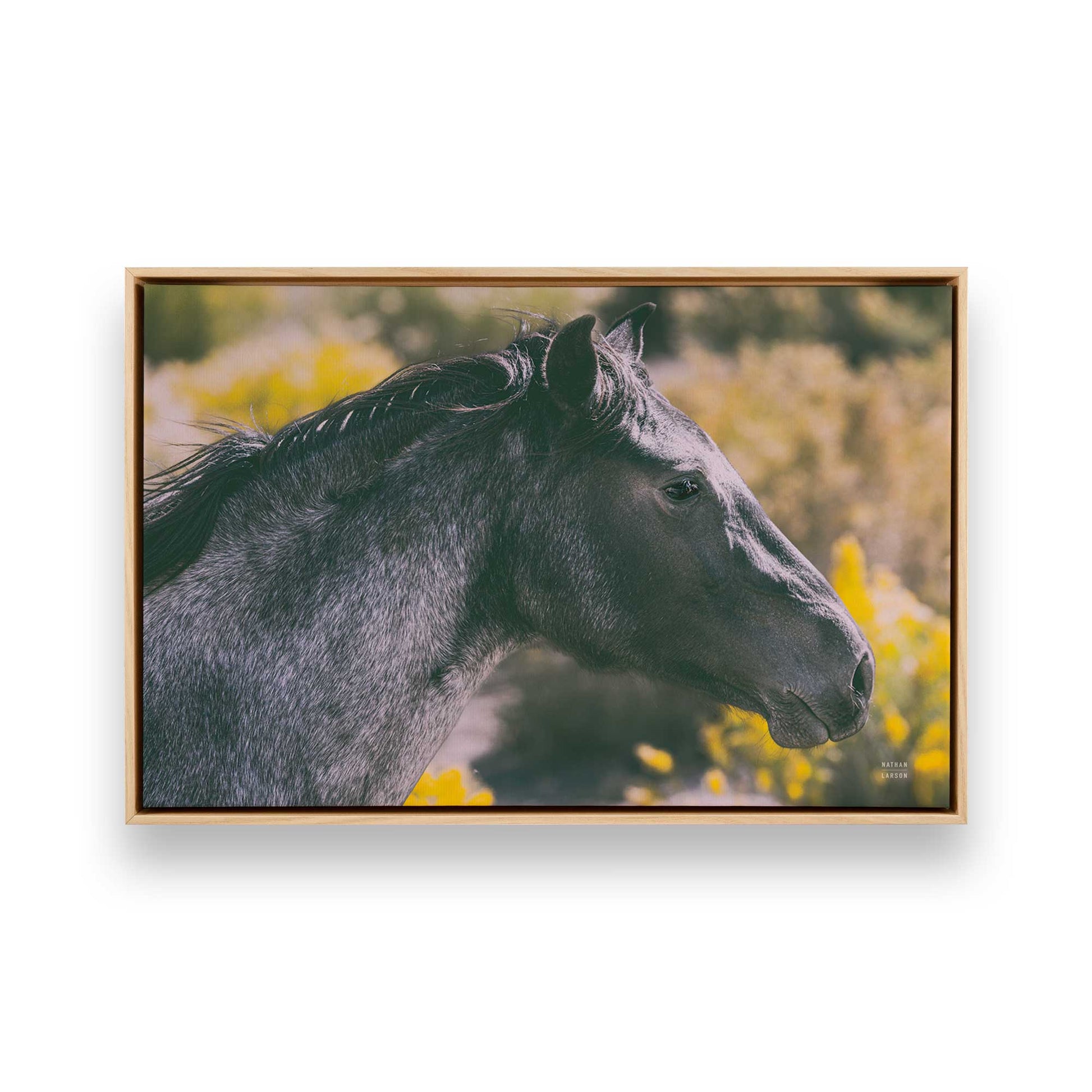 [Color:American Maple], Picture of art in a American Maple frame