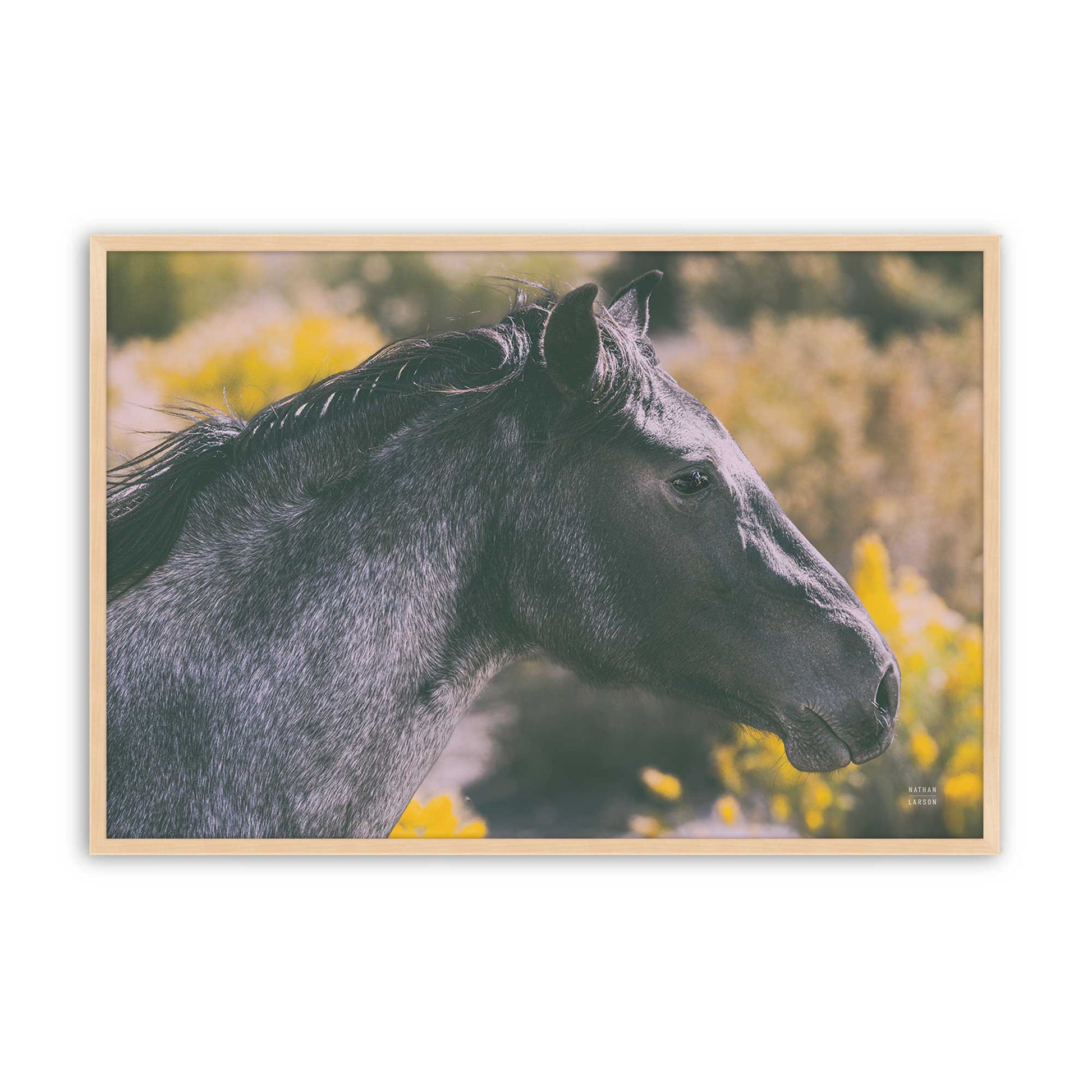[Color:Raw Maple], Picture of art in a Raw Maple frame