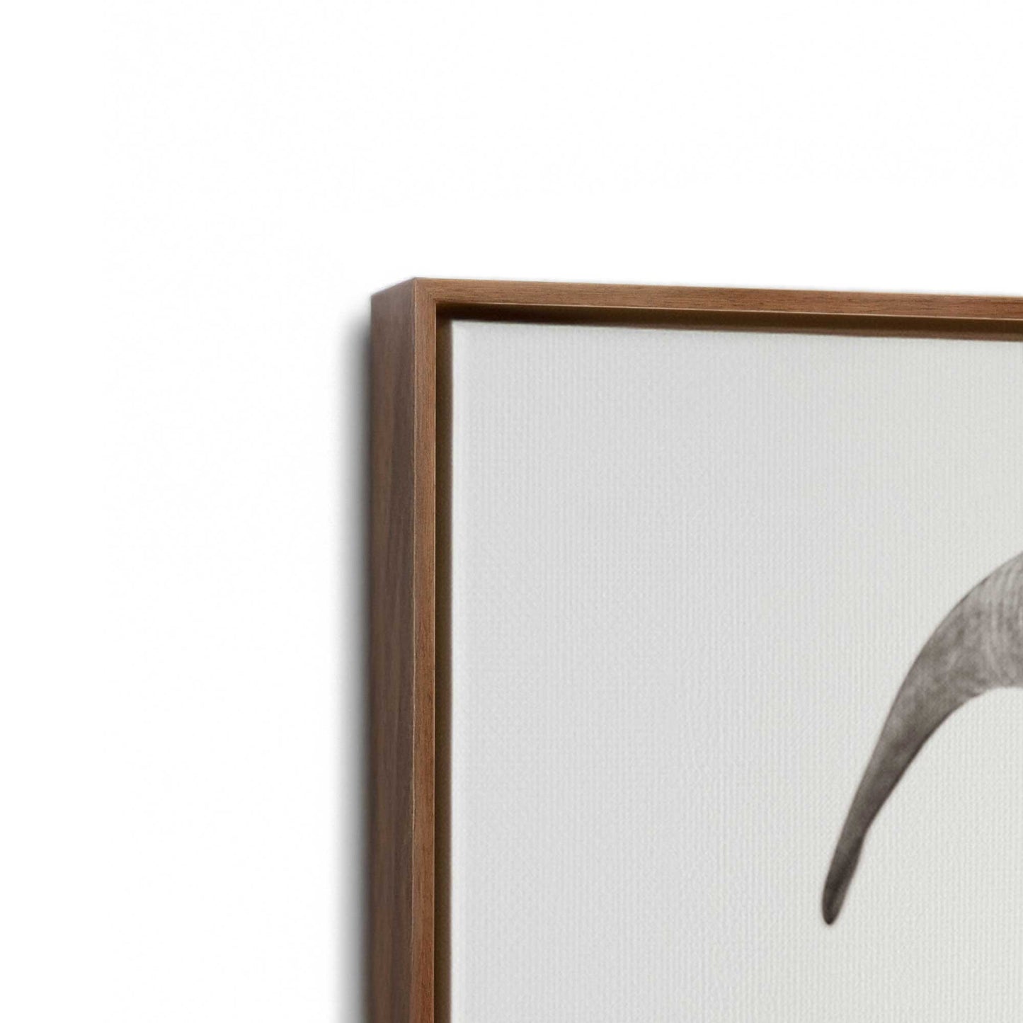 [Color:Walnut], Picture of art in a Walnut frame at an angle
