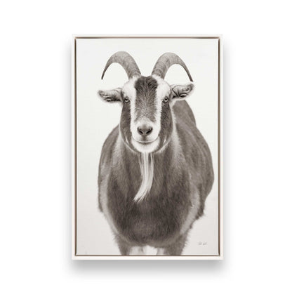[Color:Opaque White], Picture of art in a White frame