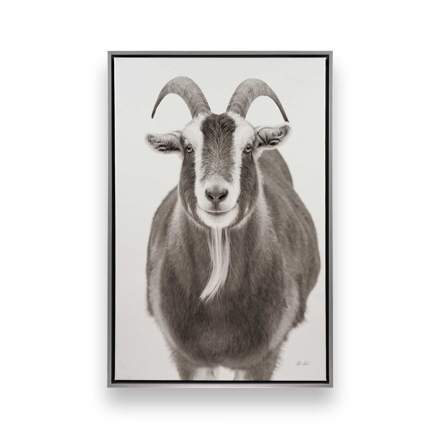 [Color:Polished Chrome], Picture of art in a Polished Chrome frame