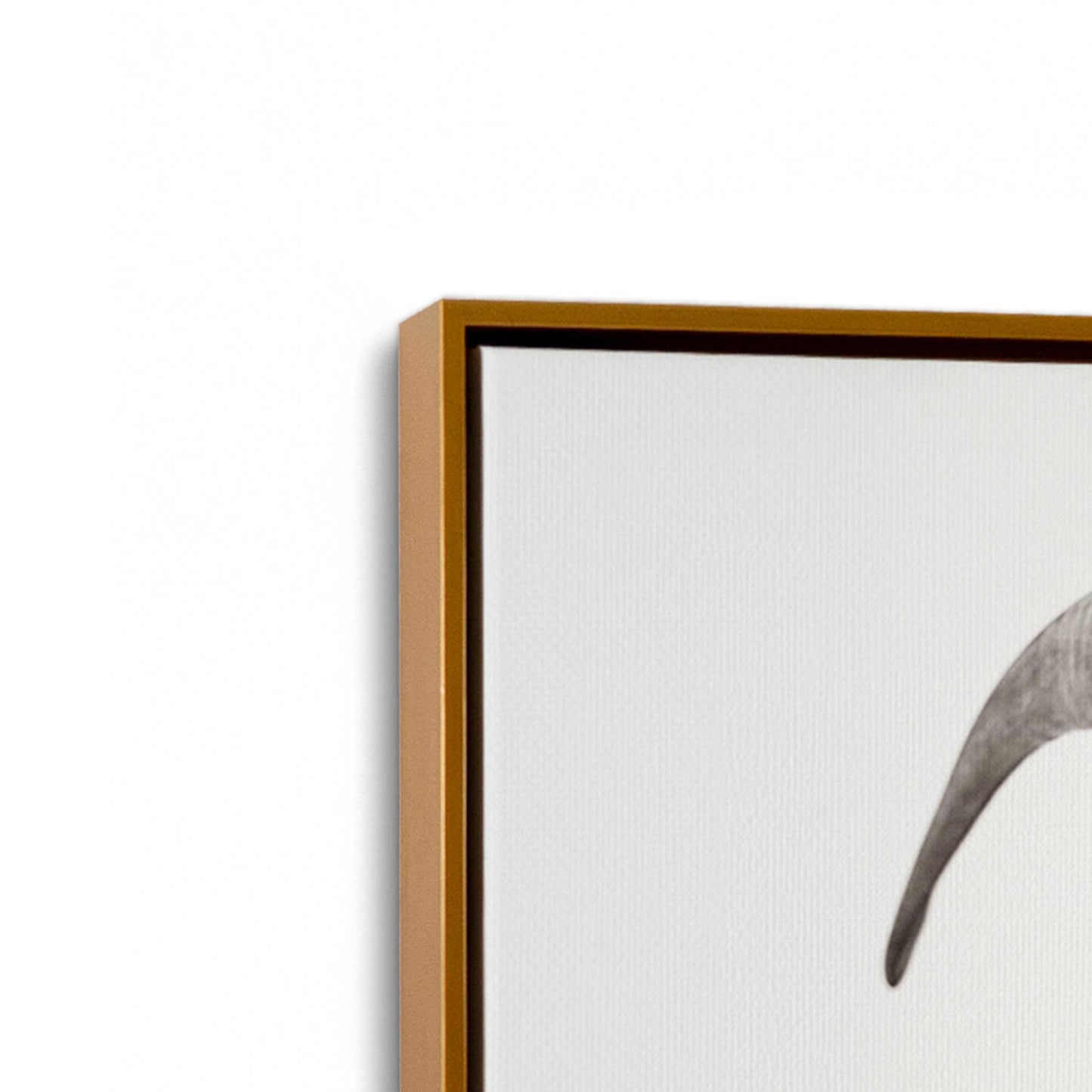 [Color:Polished Gold], Picture of art in a Polished Gold frame at an angle
