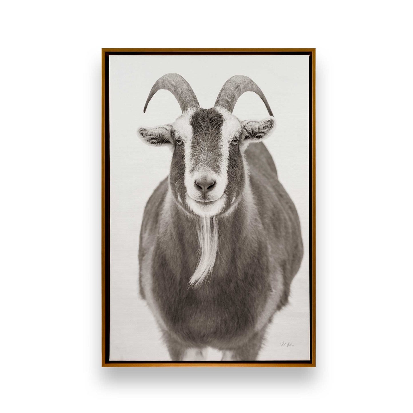 [Color:Polished Gold], Picture of art in a Polished Gold frame