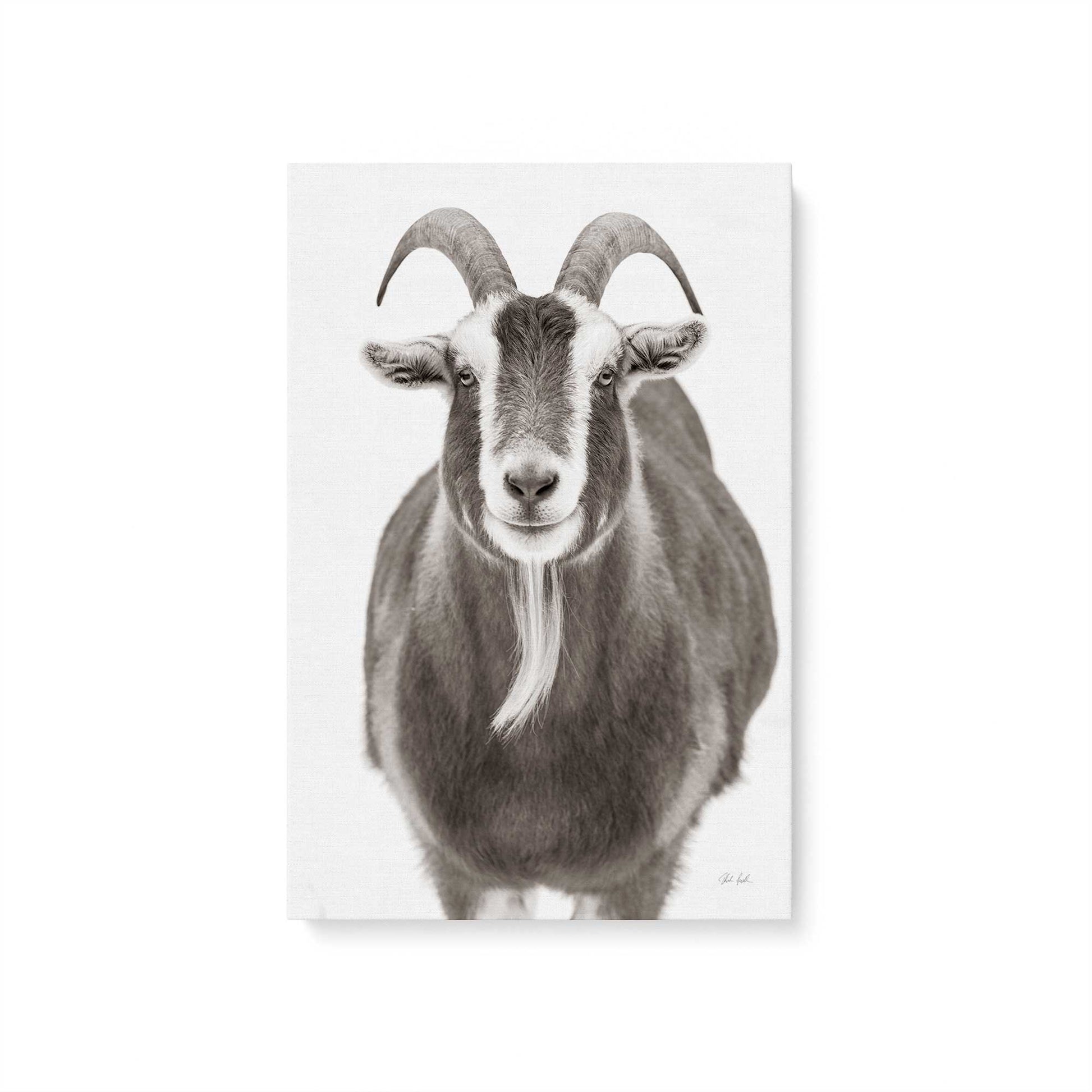 [Color:Stretched Canvas], Picture of art