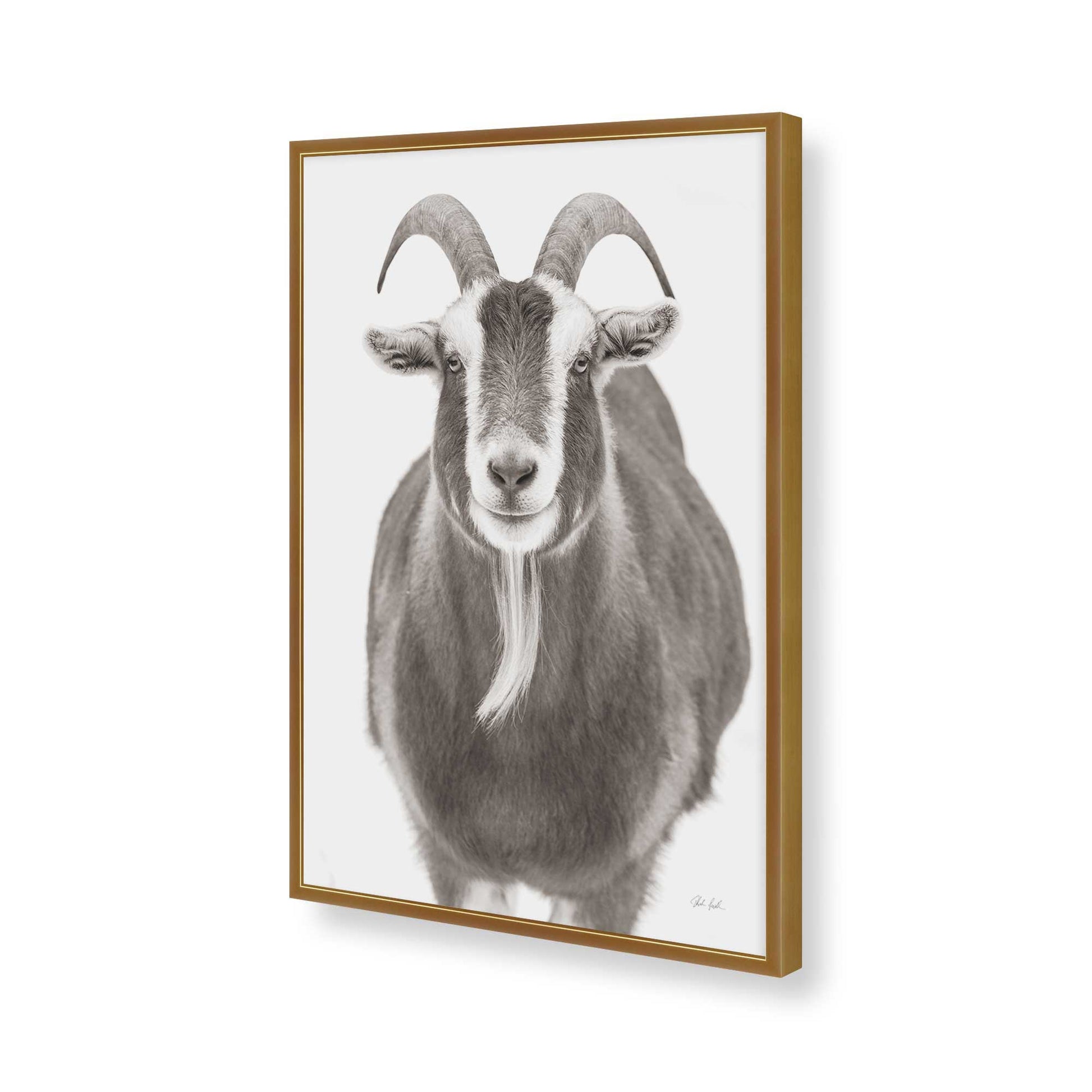 [Color:Polished Gold], Picture of art in a Polished Gold frame of the corner